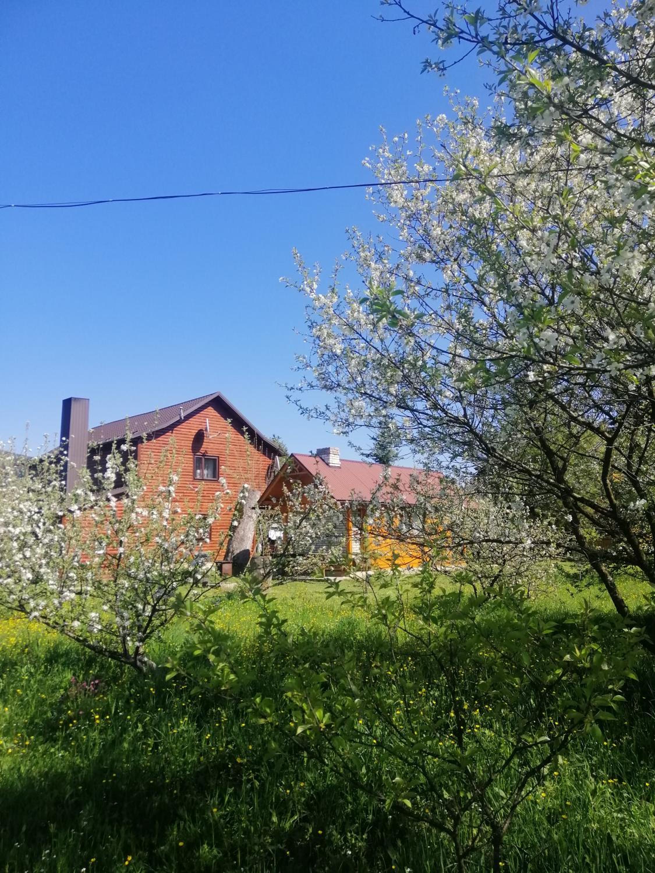 Medova Hata, photo 15