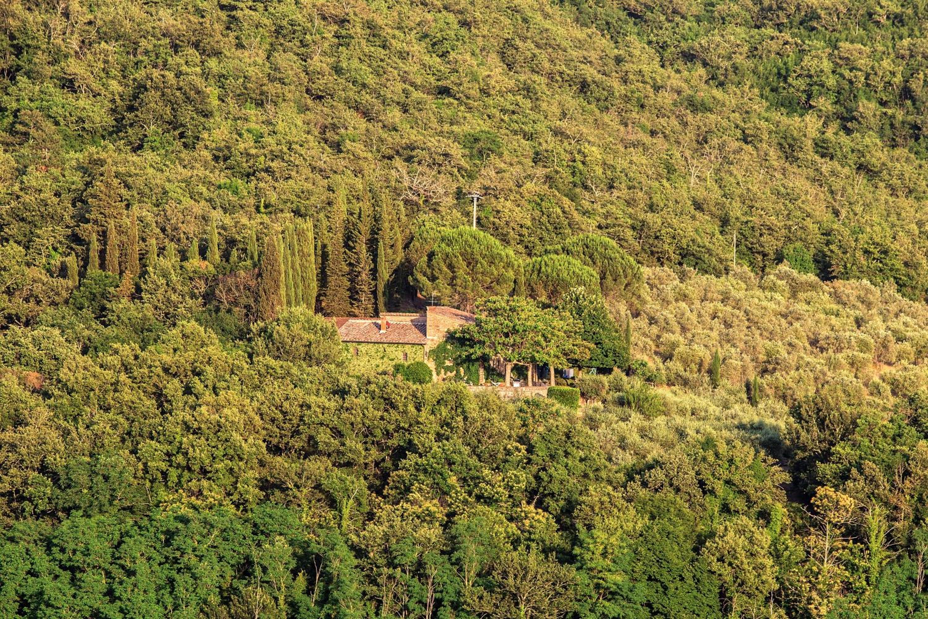 Cosoli view 4