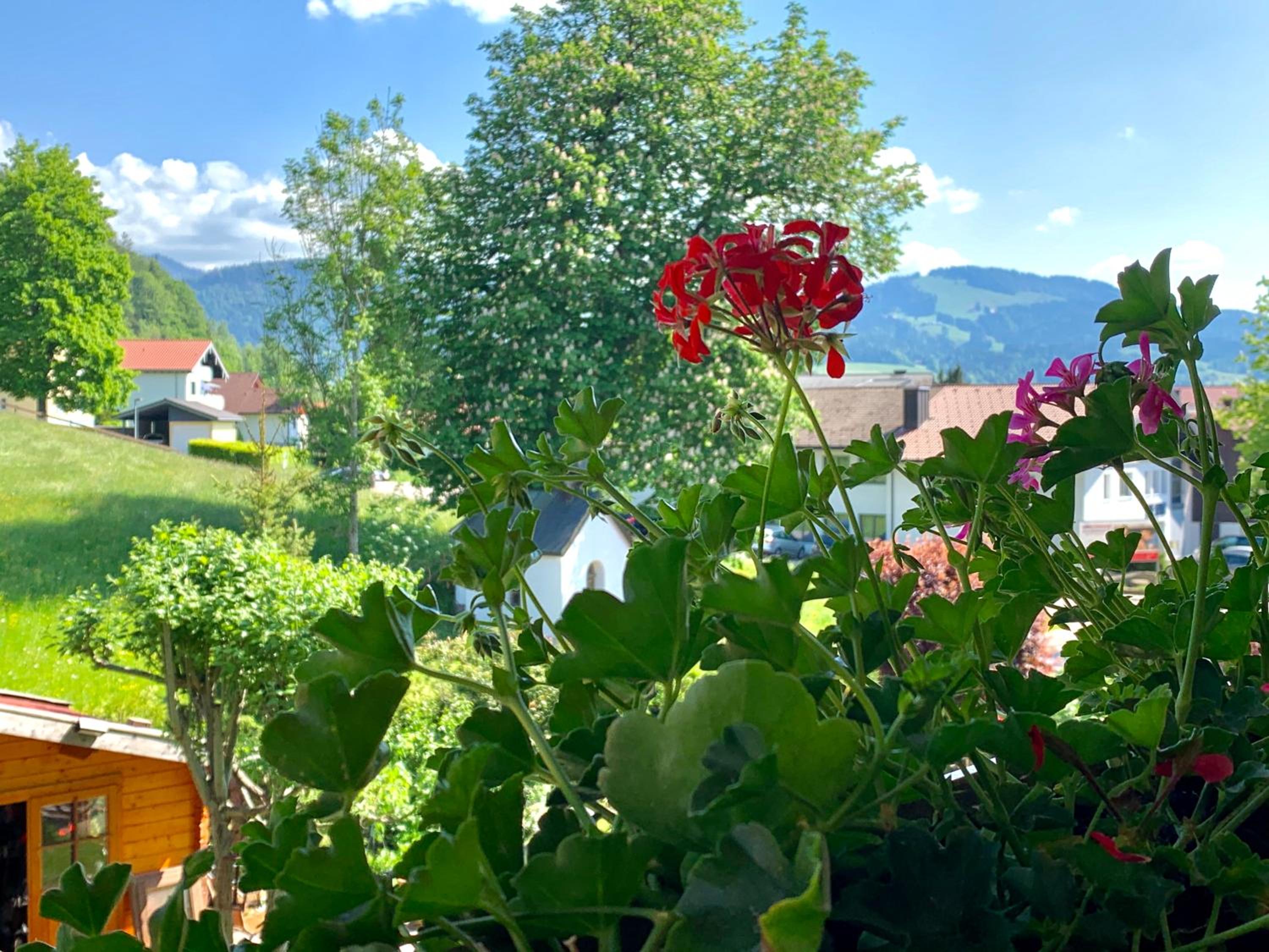 Sonnenhof - Ferienwohnung
