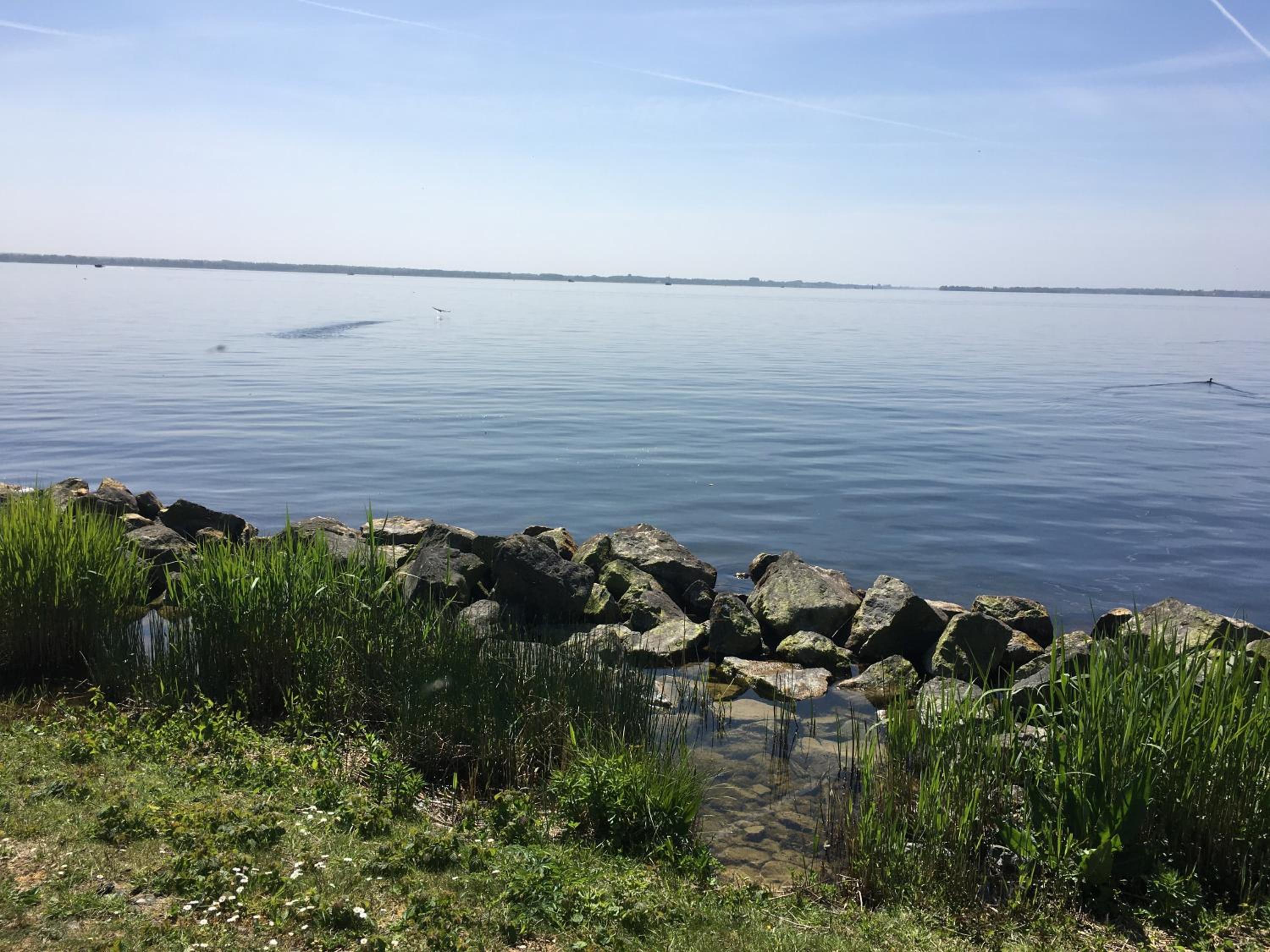 Photo 46