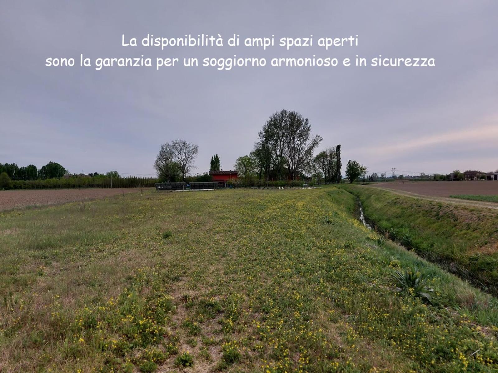Photo 39