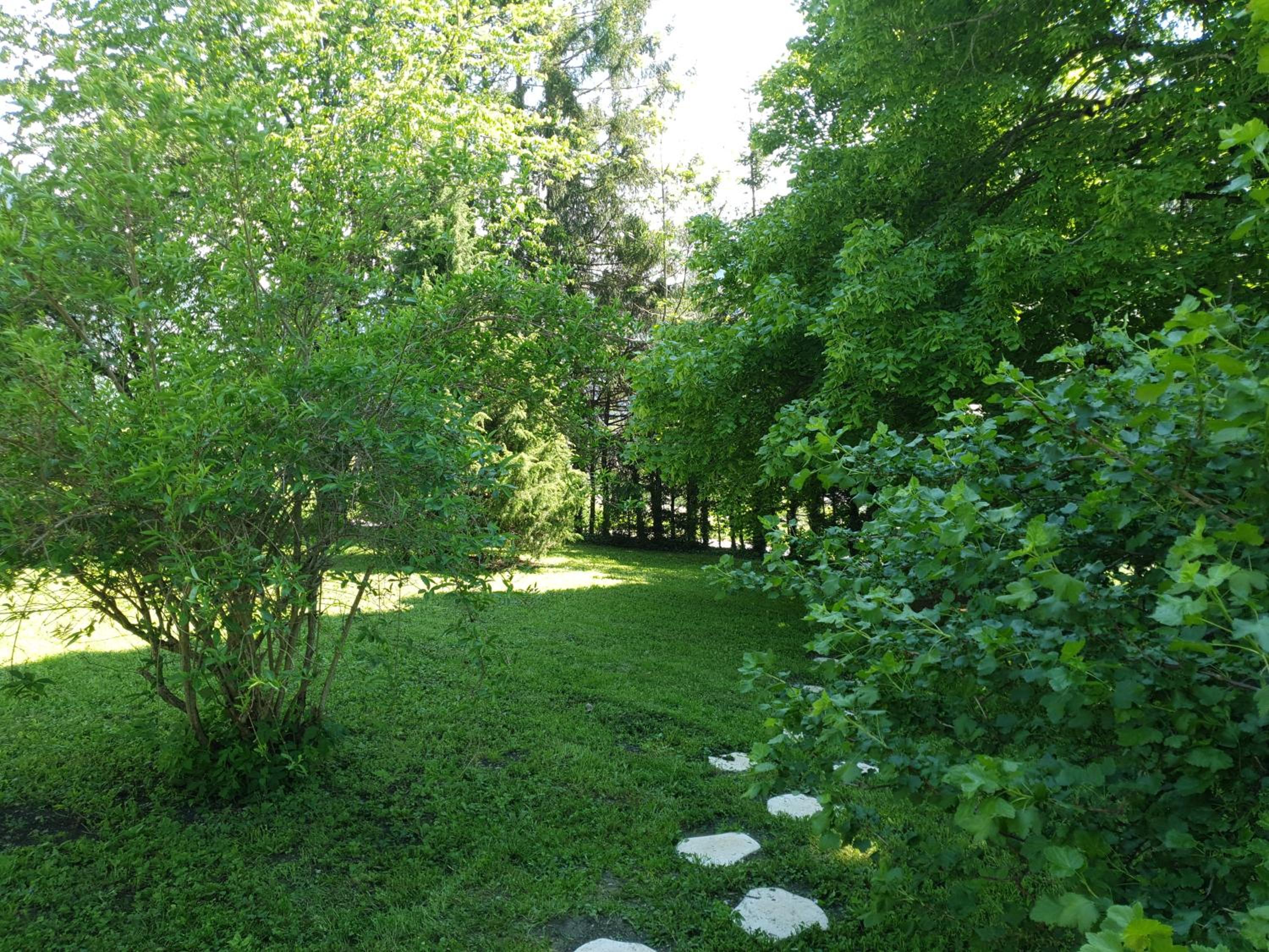 Photo 48