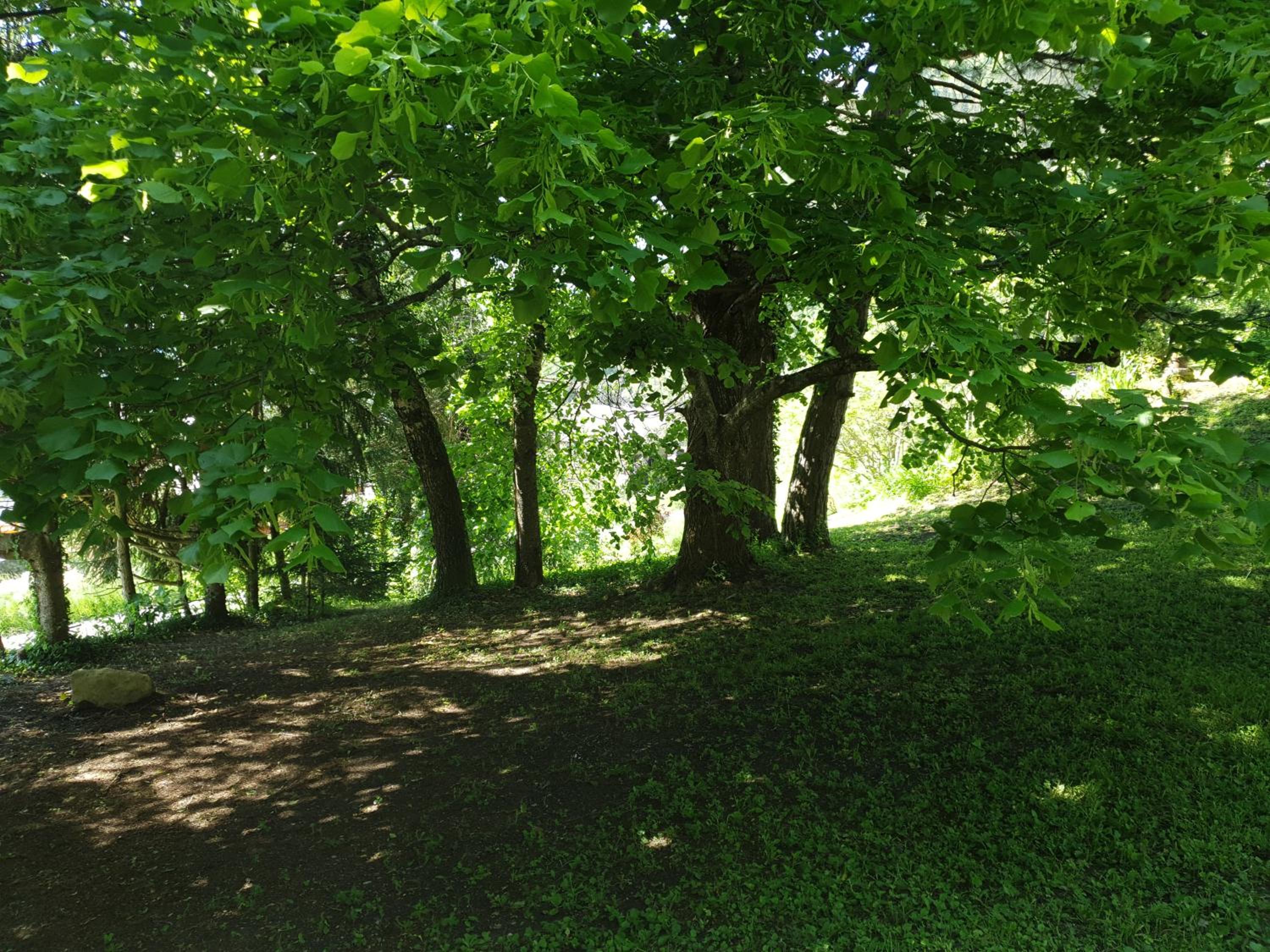 Photo 47