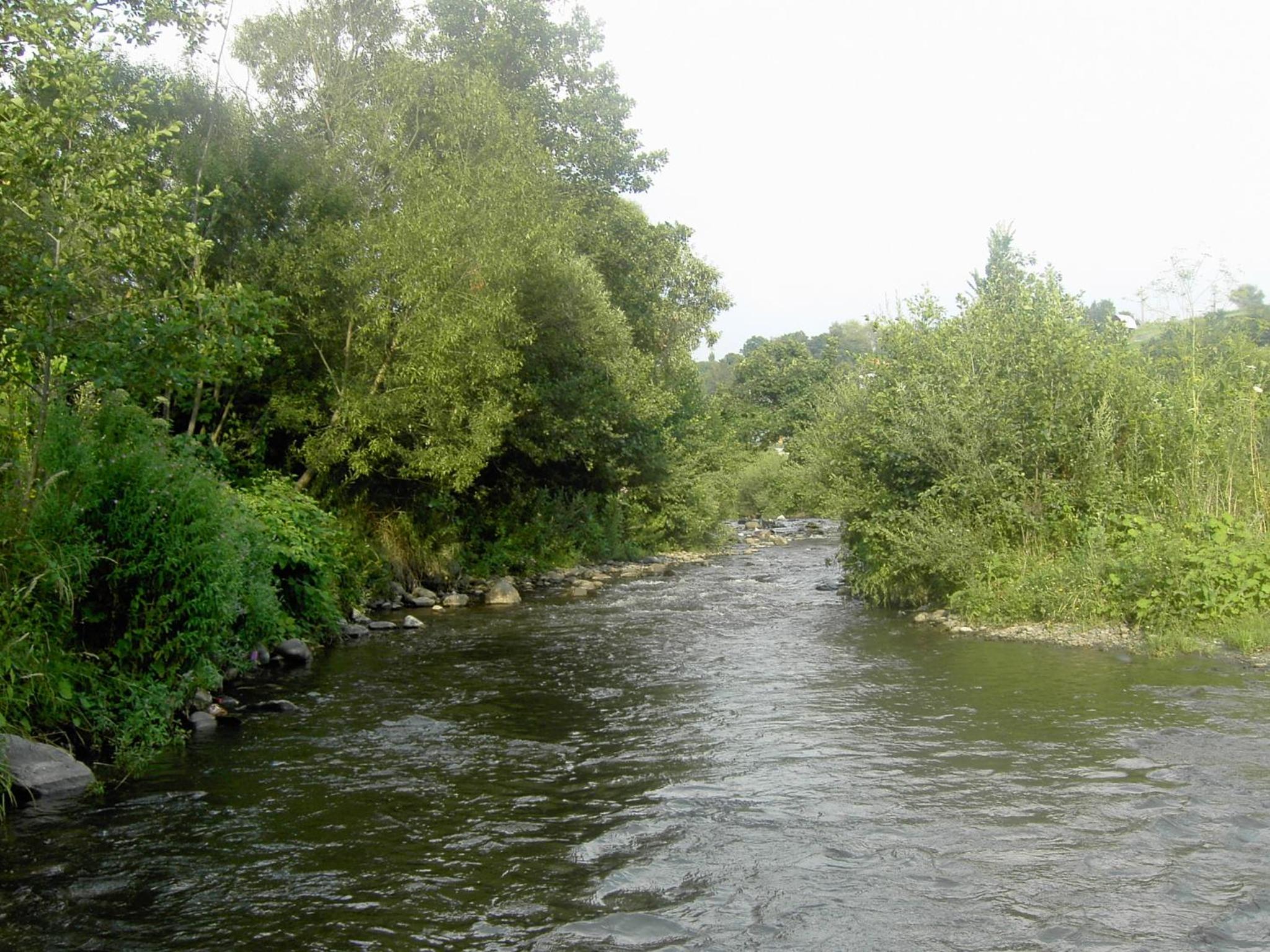 Pensiunea Sovirag view 3