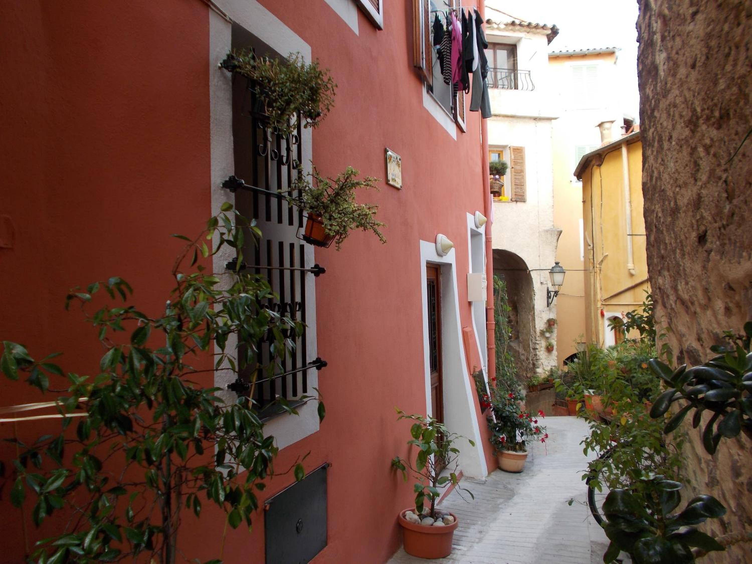 Photo 8