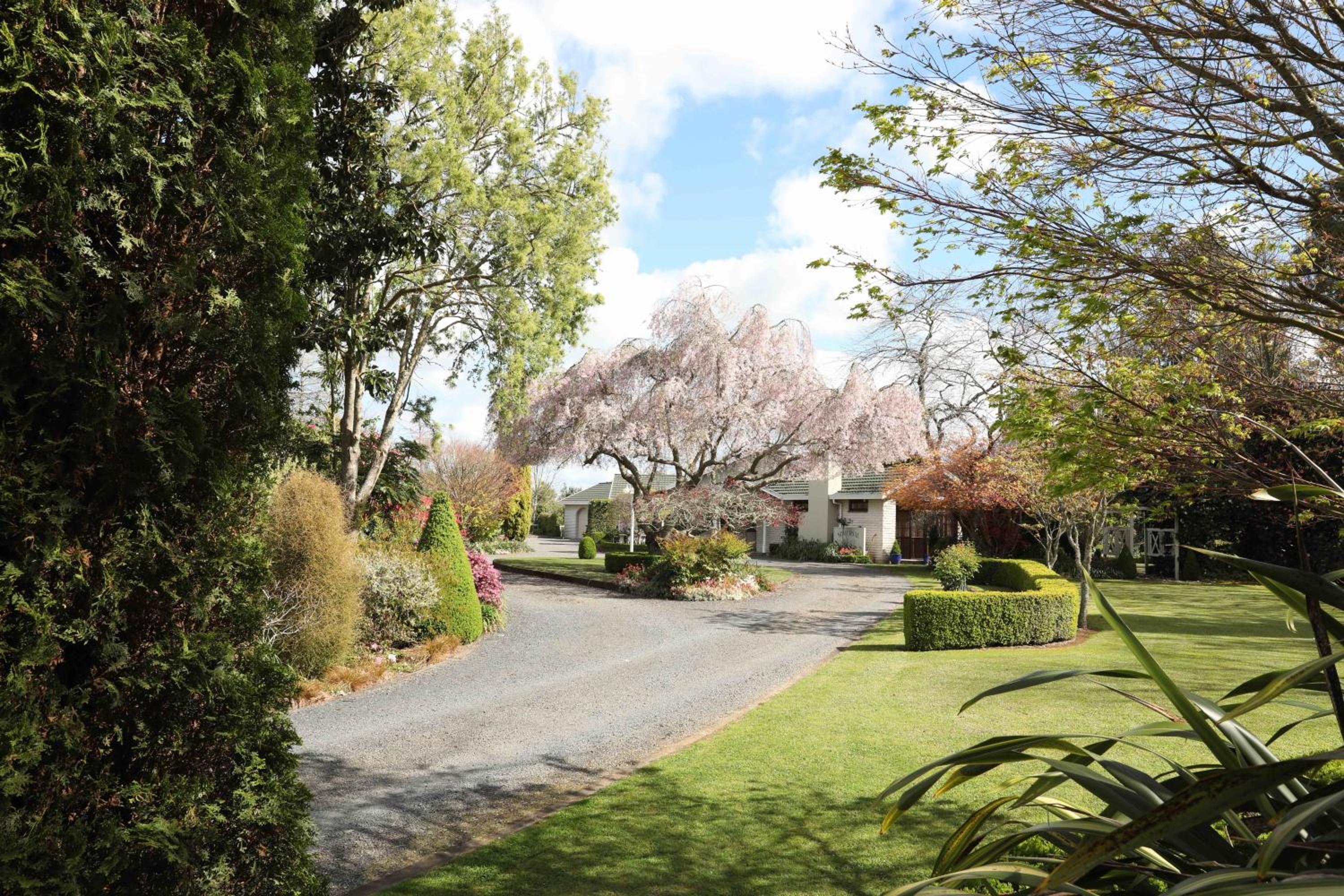 Somersal Bed & Breakfast view 2