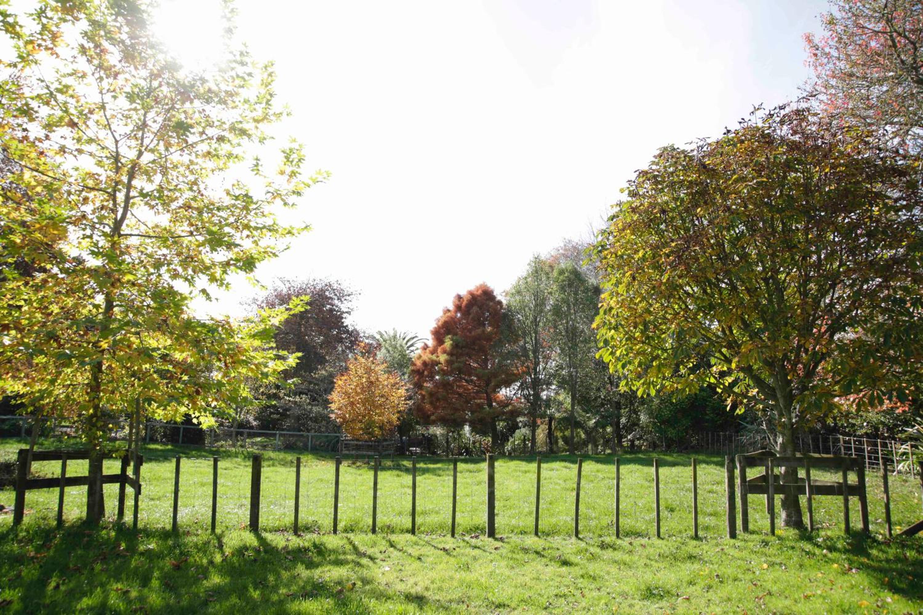 Photo 42