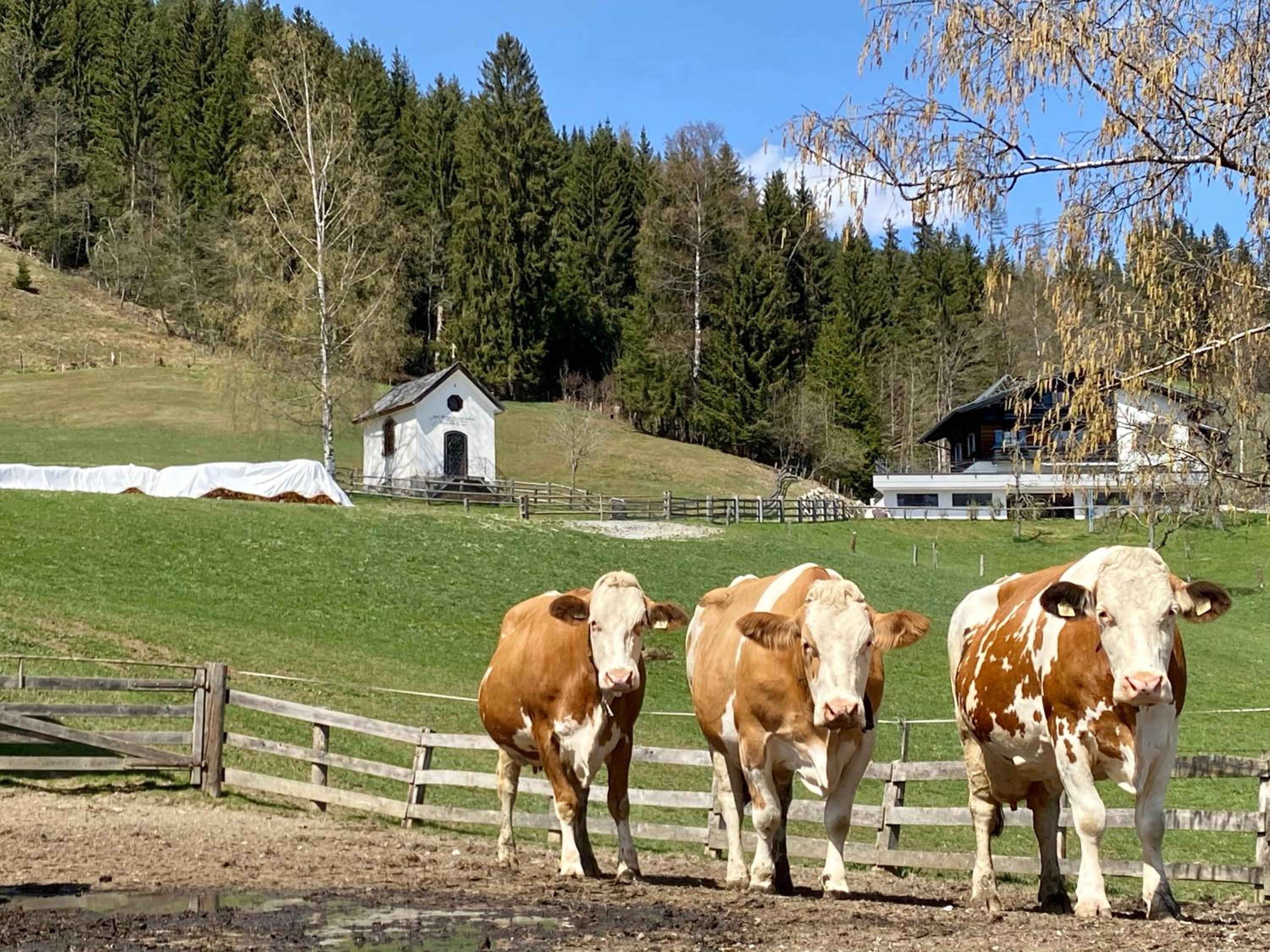 Bauernhof Unterbichl
