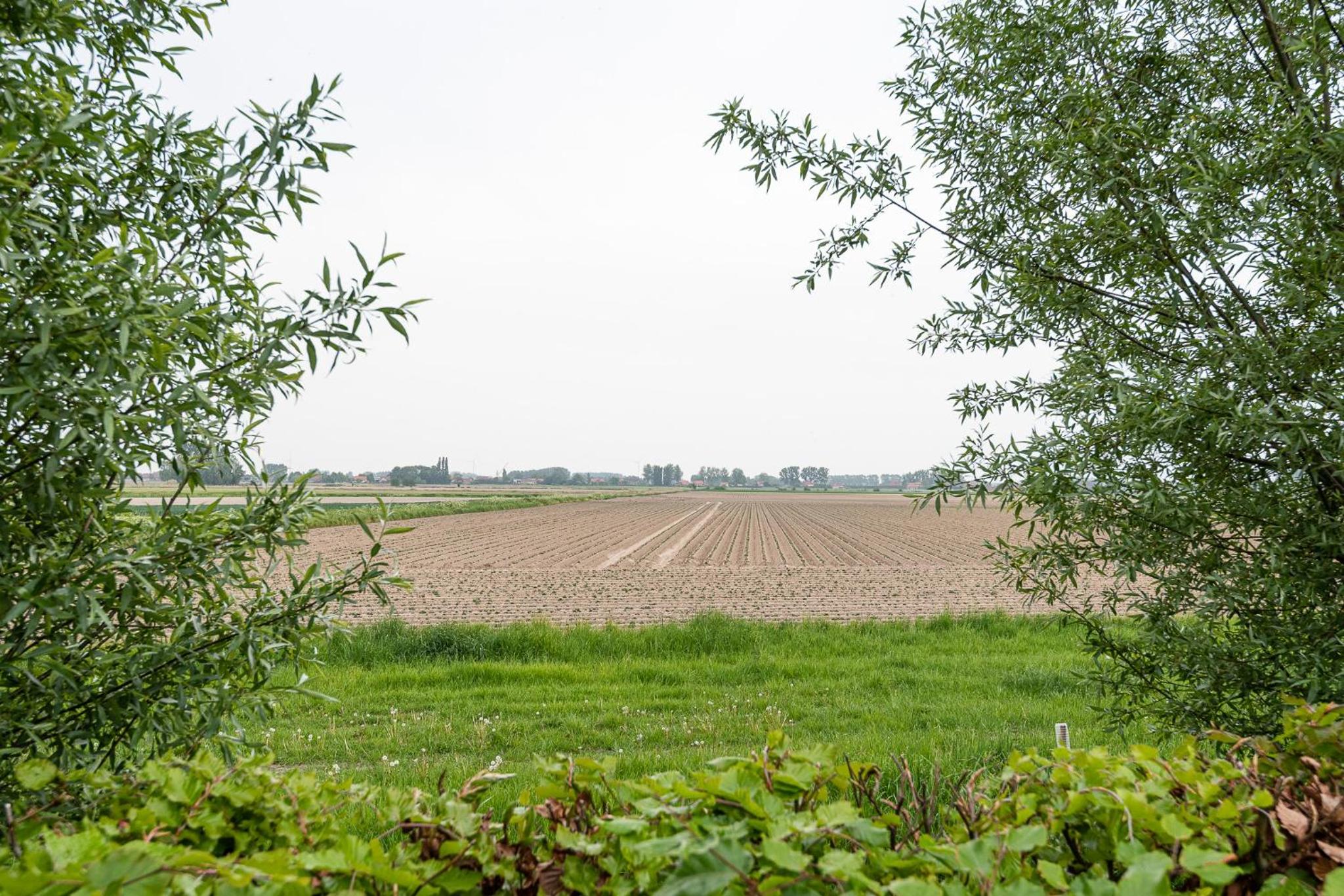 Polderwoning 'Cleylantshof'