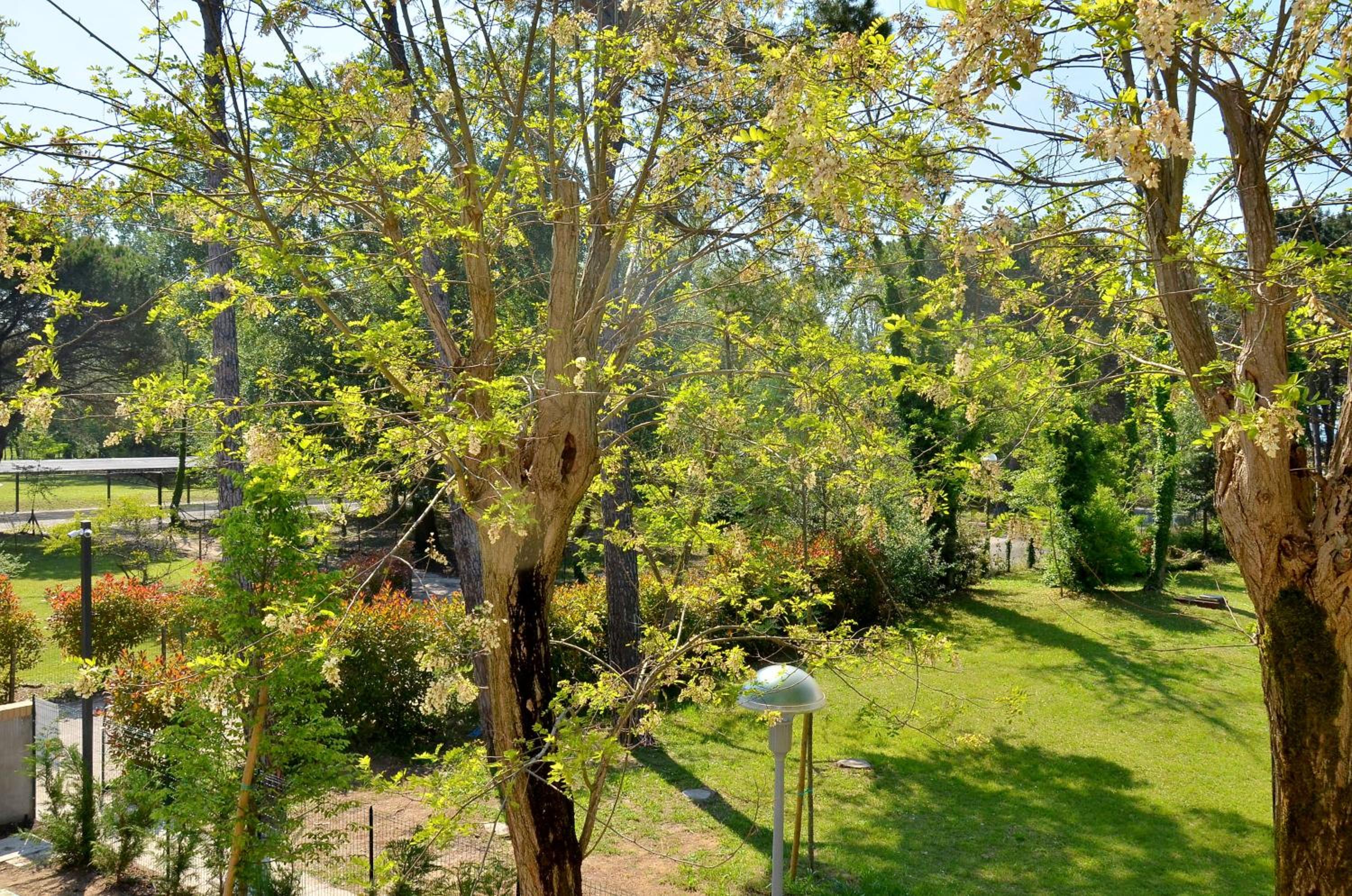 Villa Tamerici
