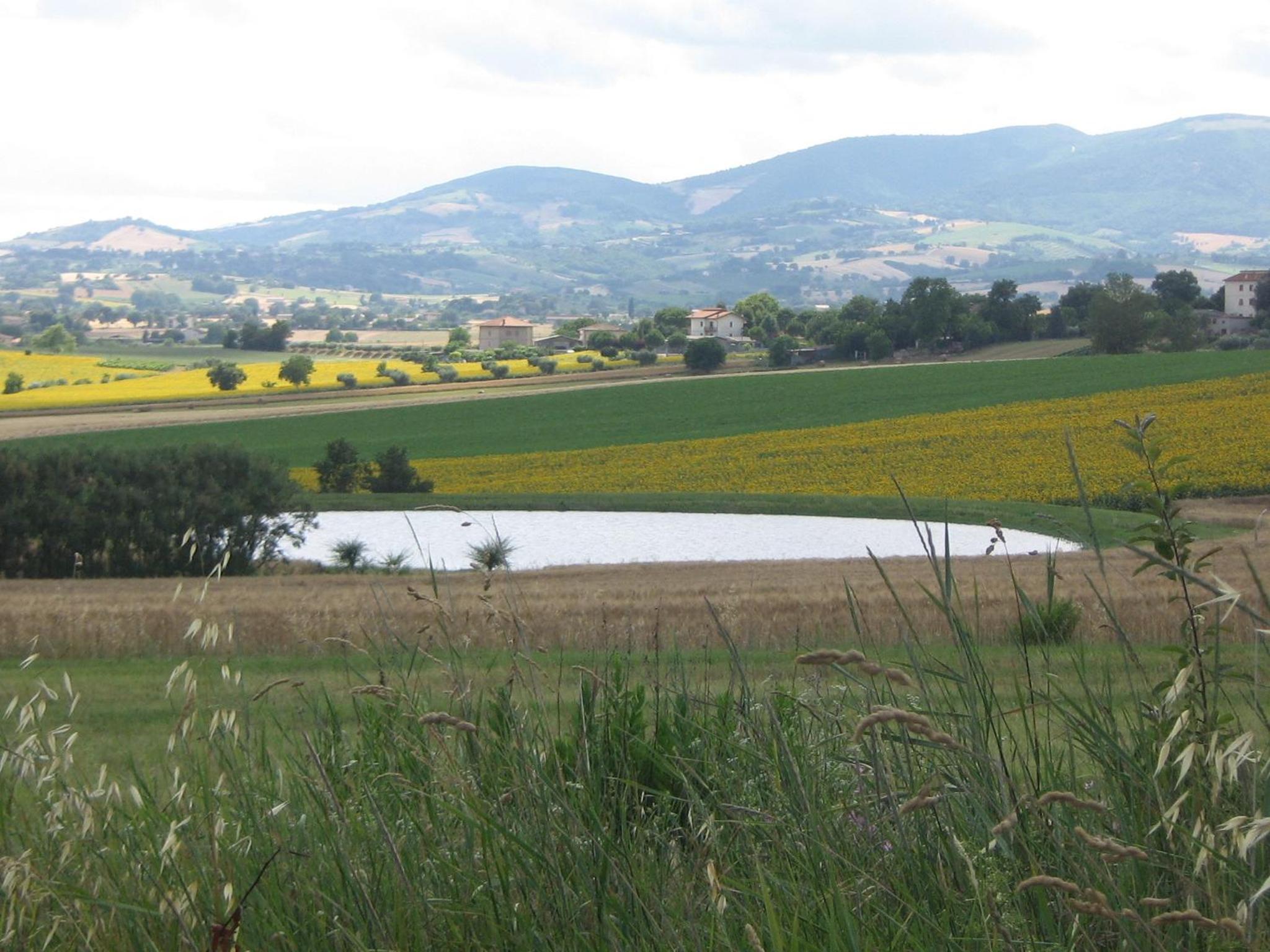 Il Giardino Degli Ulivi