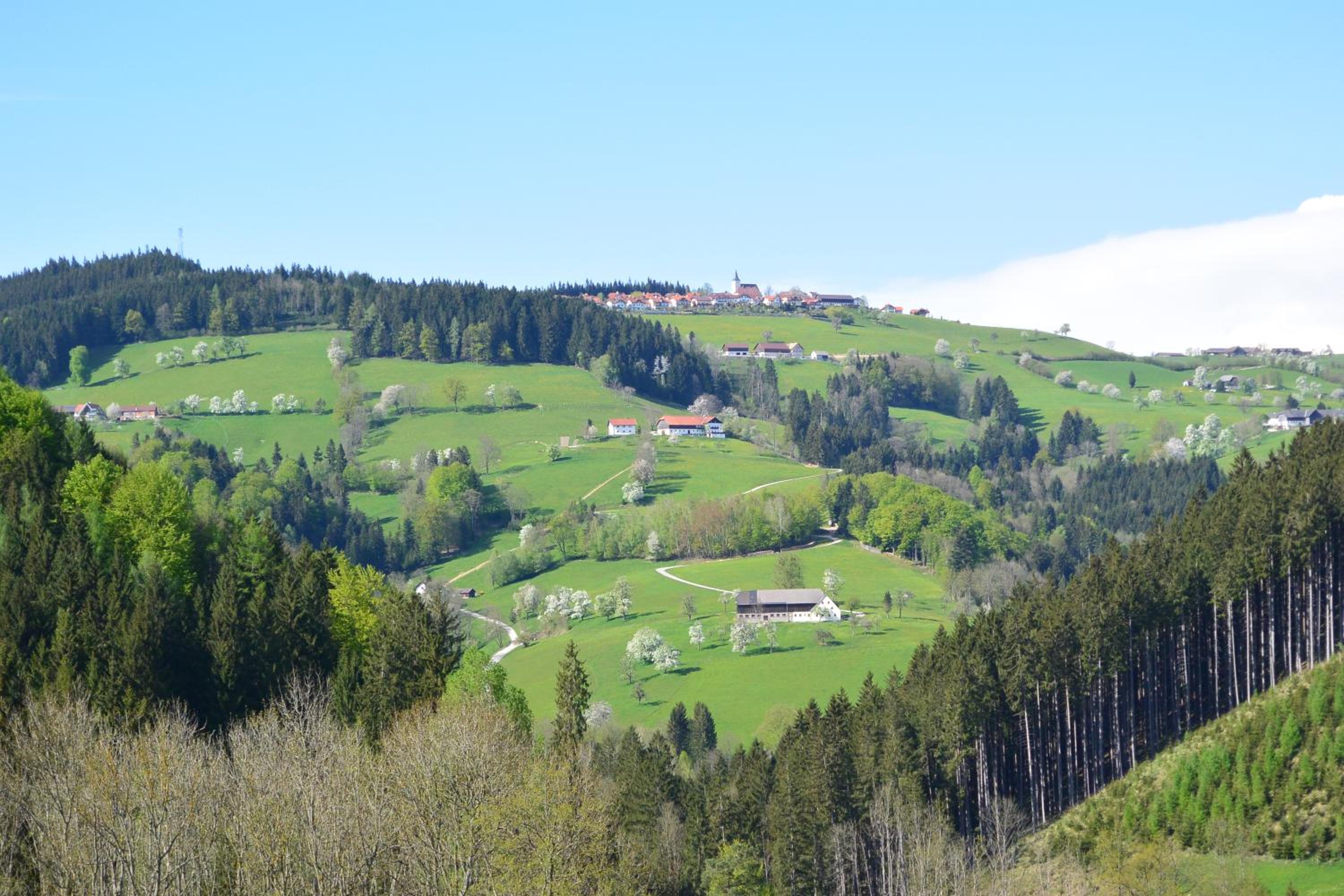 Biohof Himbrechtsöd