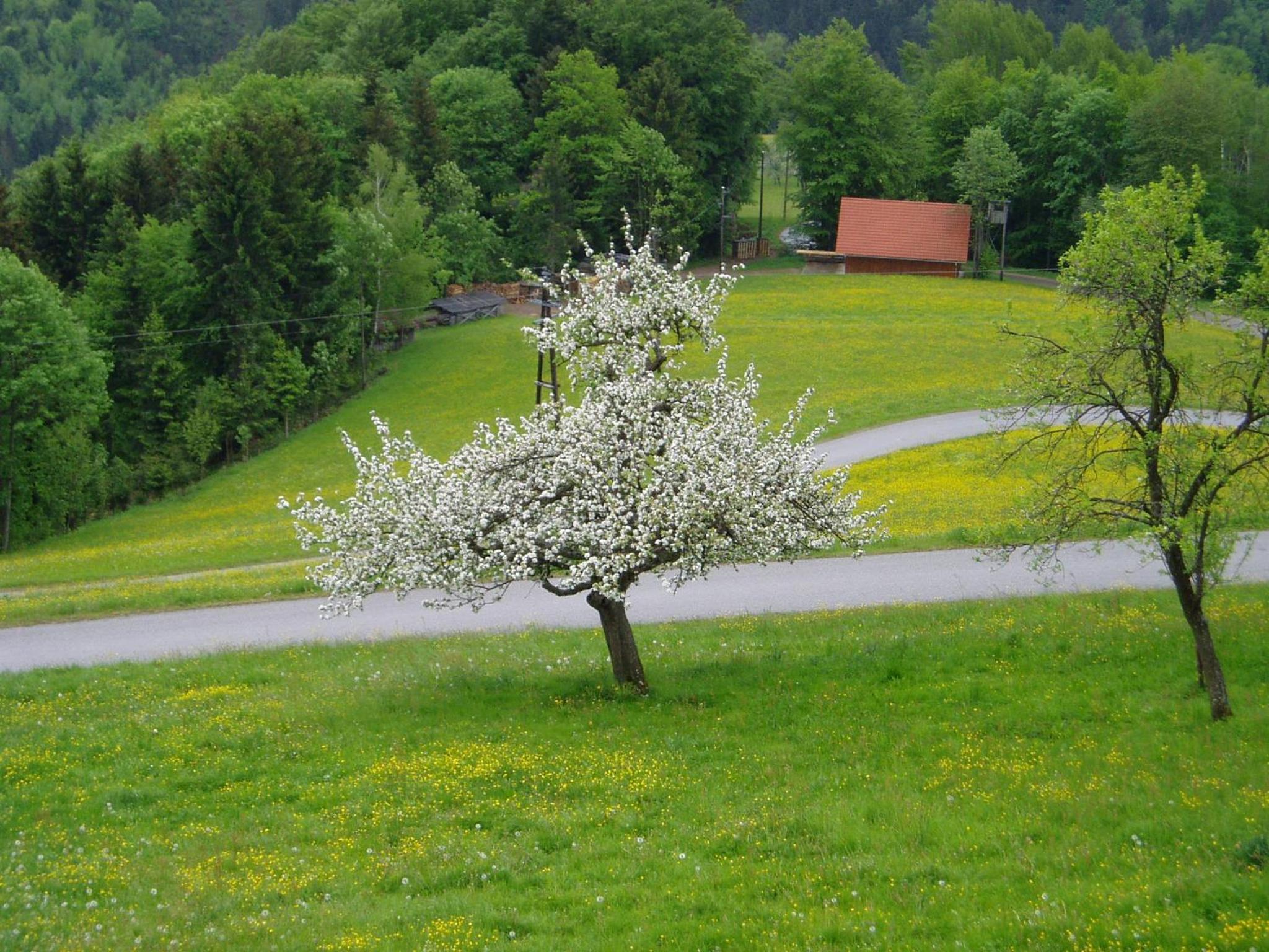 Biohof Himbrechtsöd