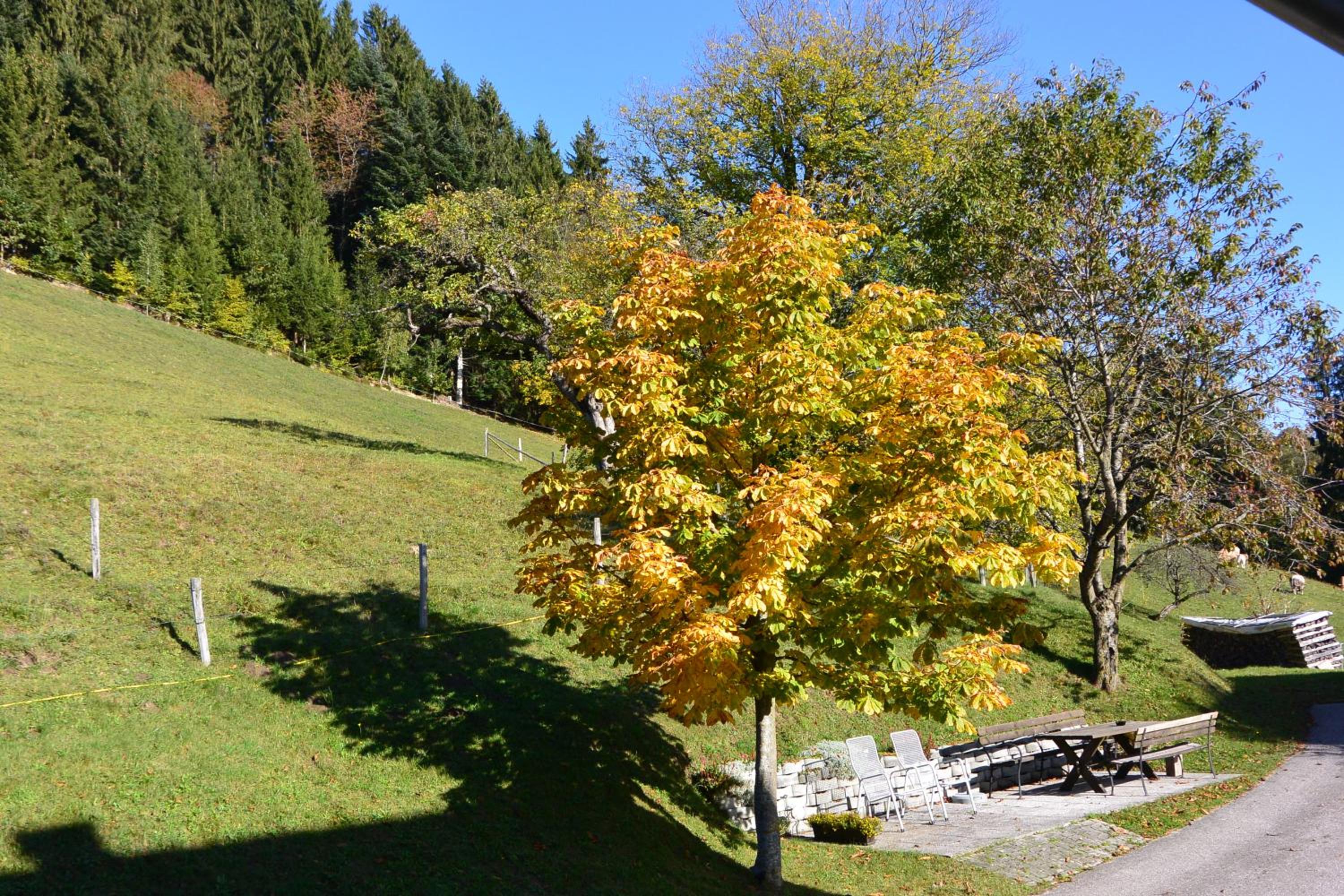 Biohof Himbrechtsöd