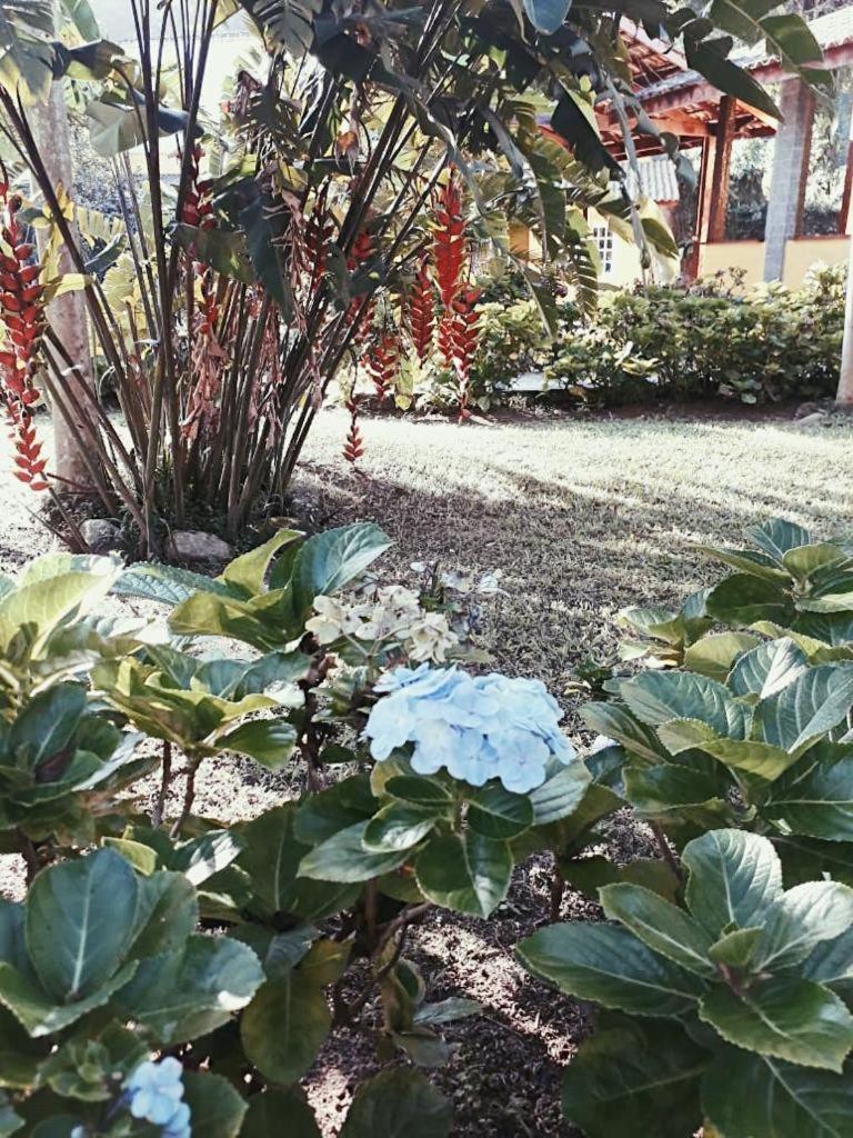 Casa Linda - Piscina Ampla - Jacuzzi - Imenso Jardim
