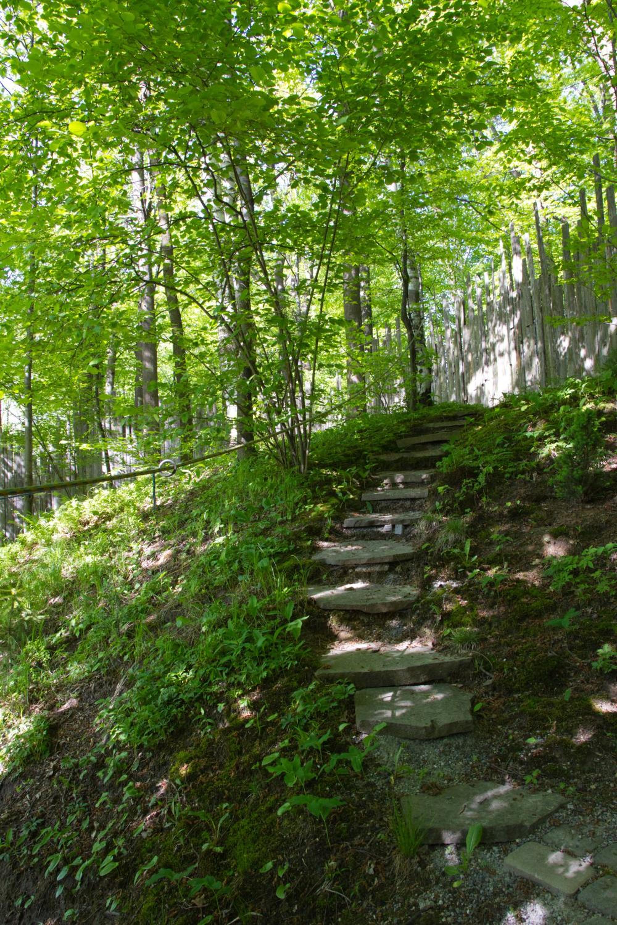 Photo 8