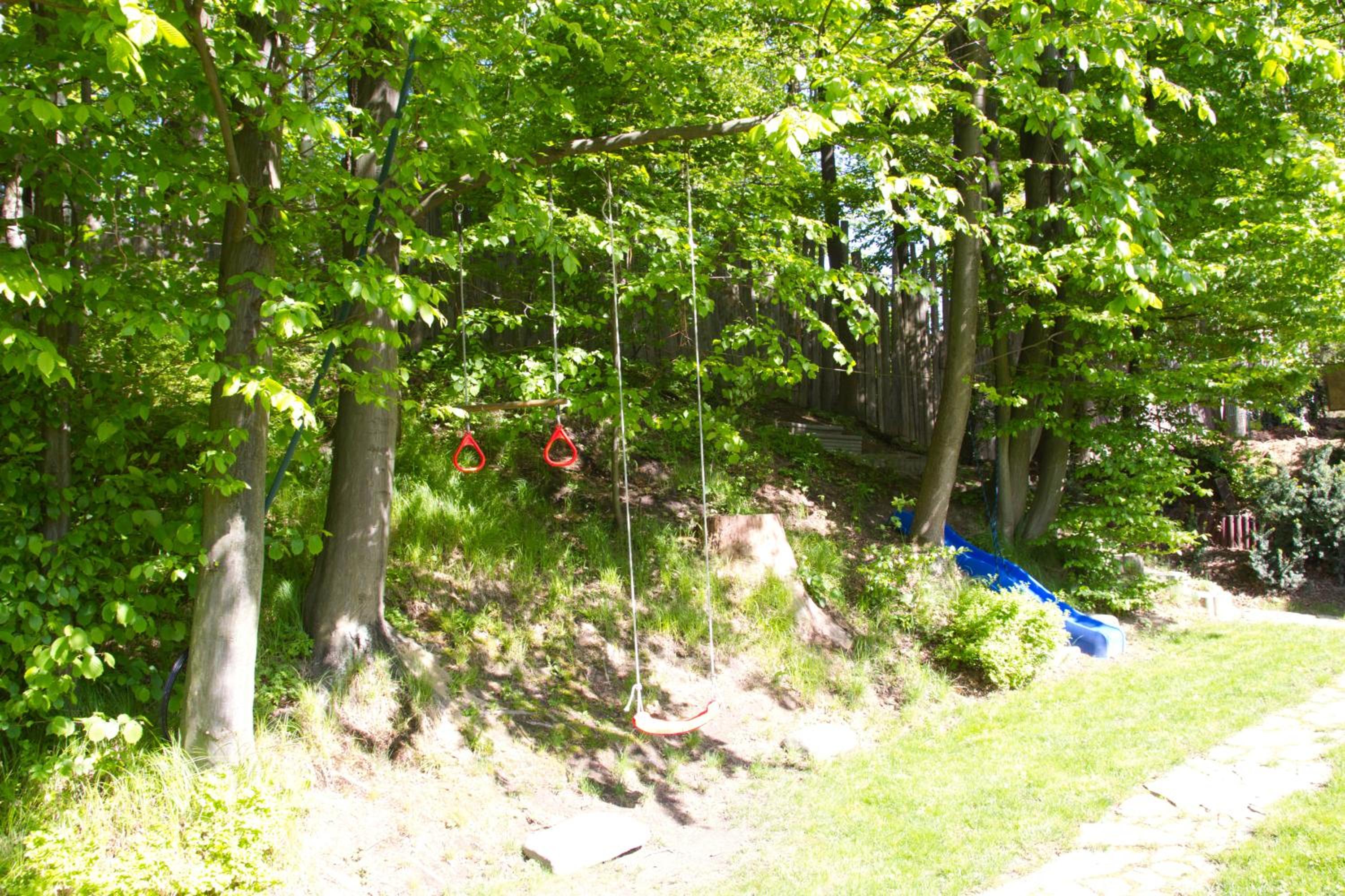 Photo 23