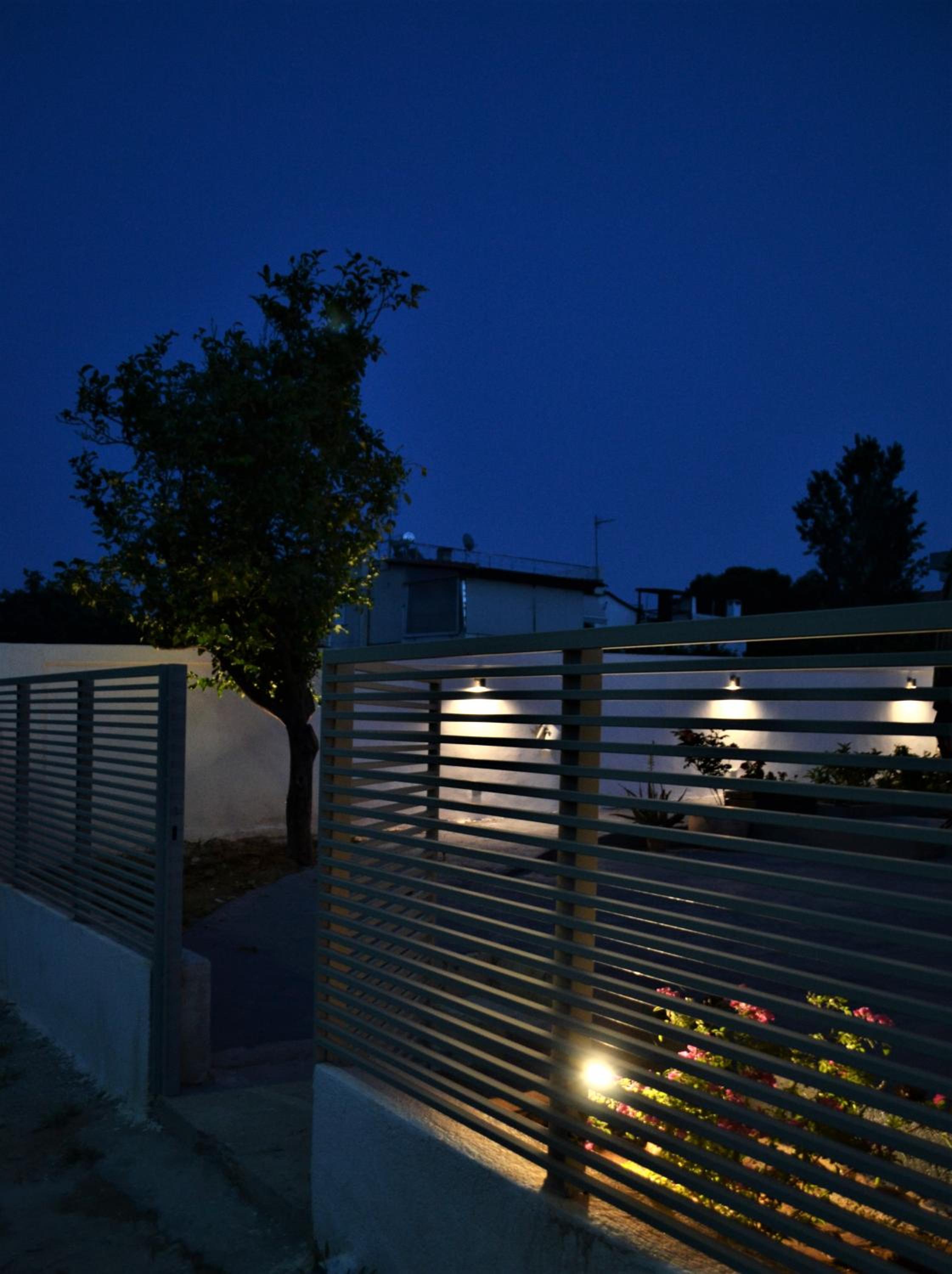 Photo 51