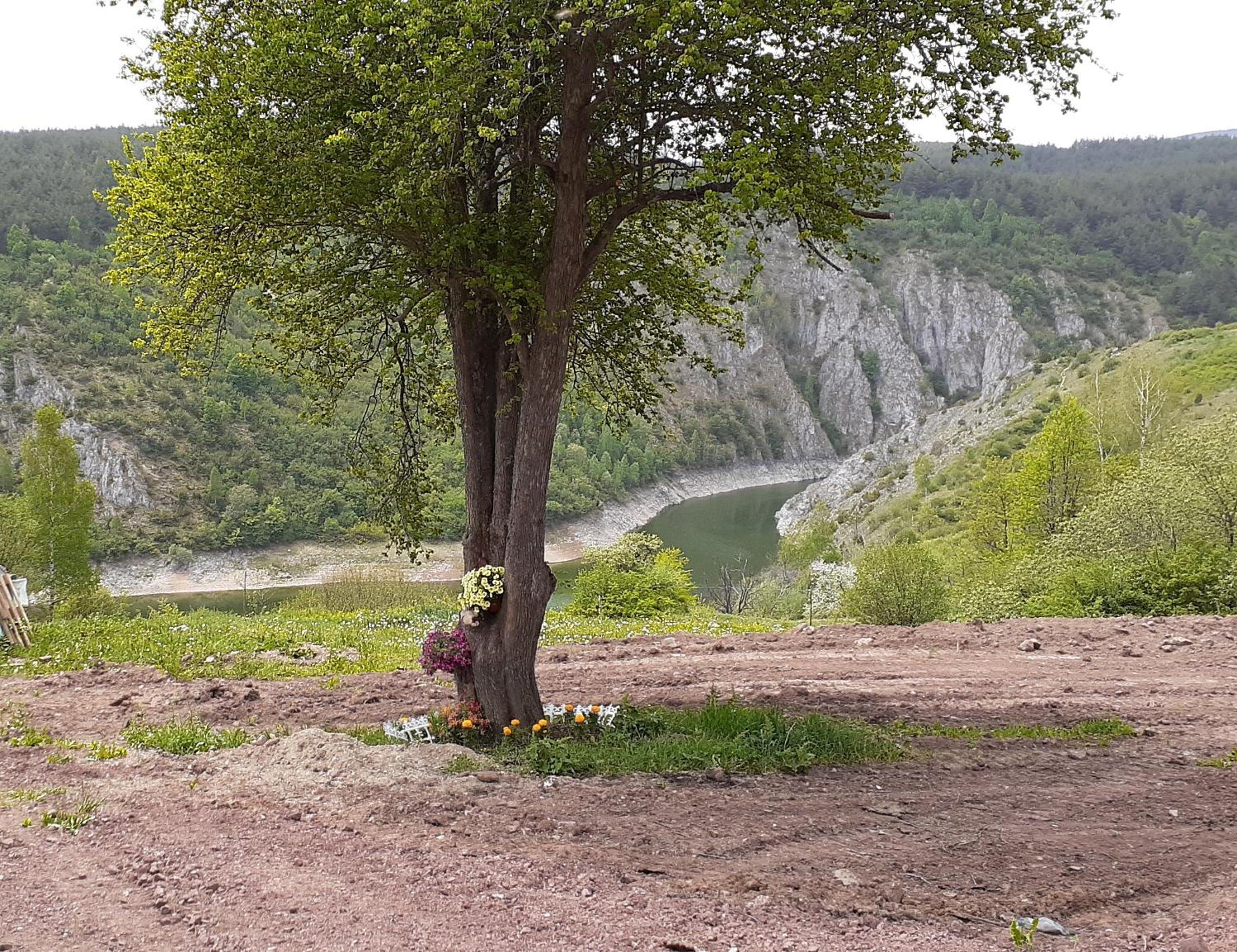Photo 31