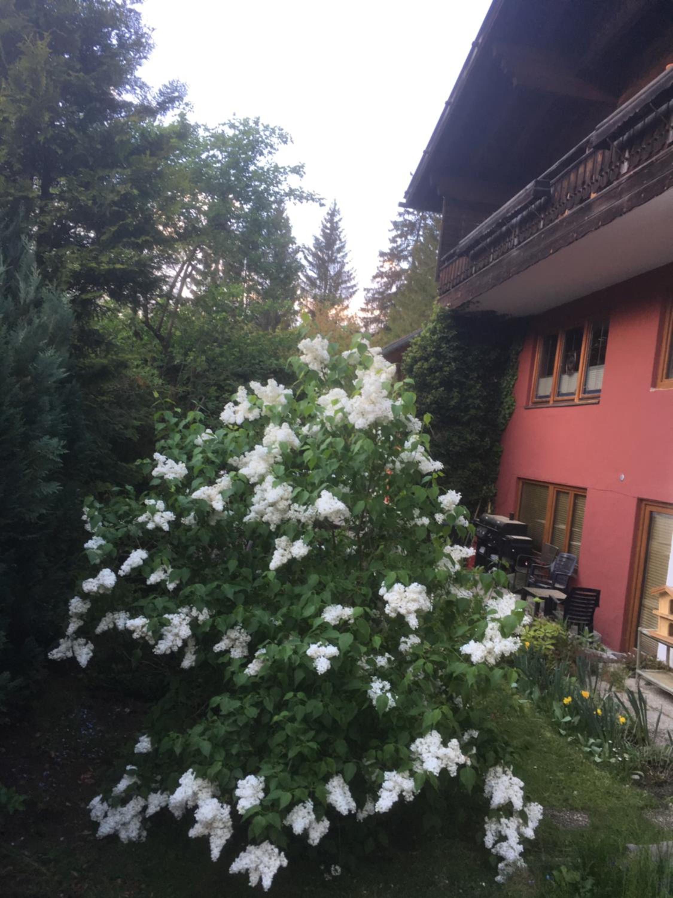 Ferienhaus Wieswald view 2