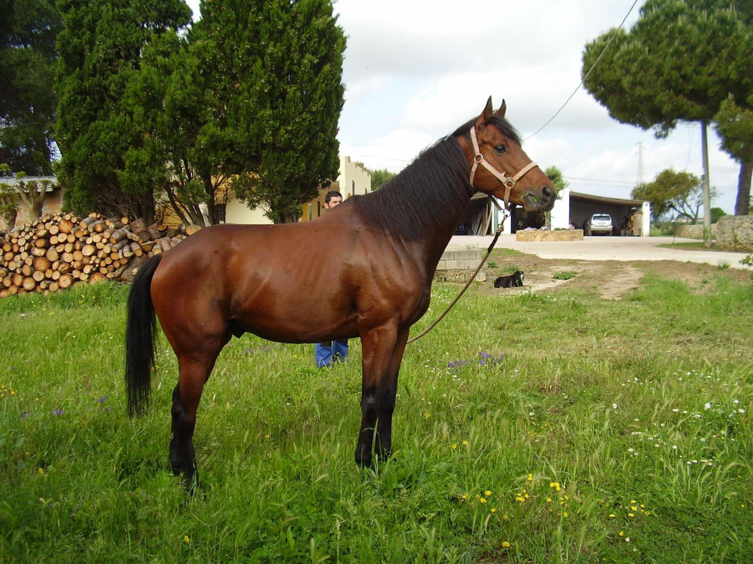 Agriturismo Cuile de Molino