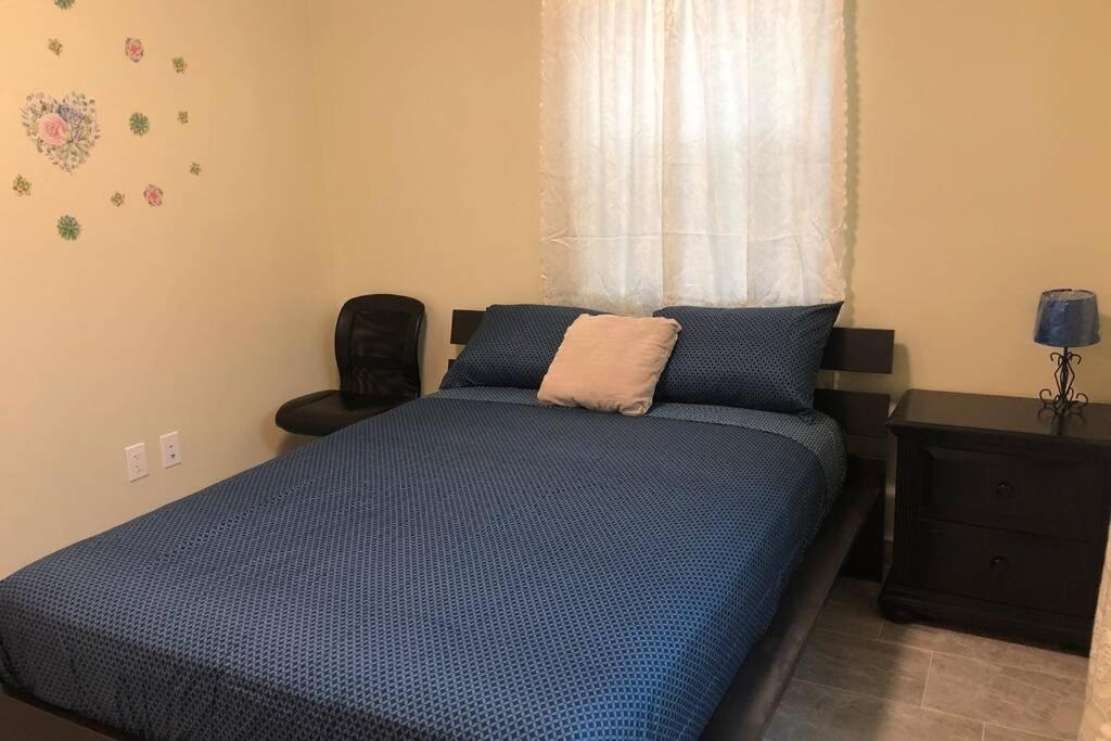 Your House in Miami