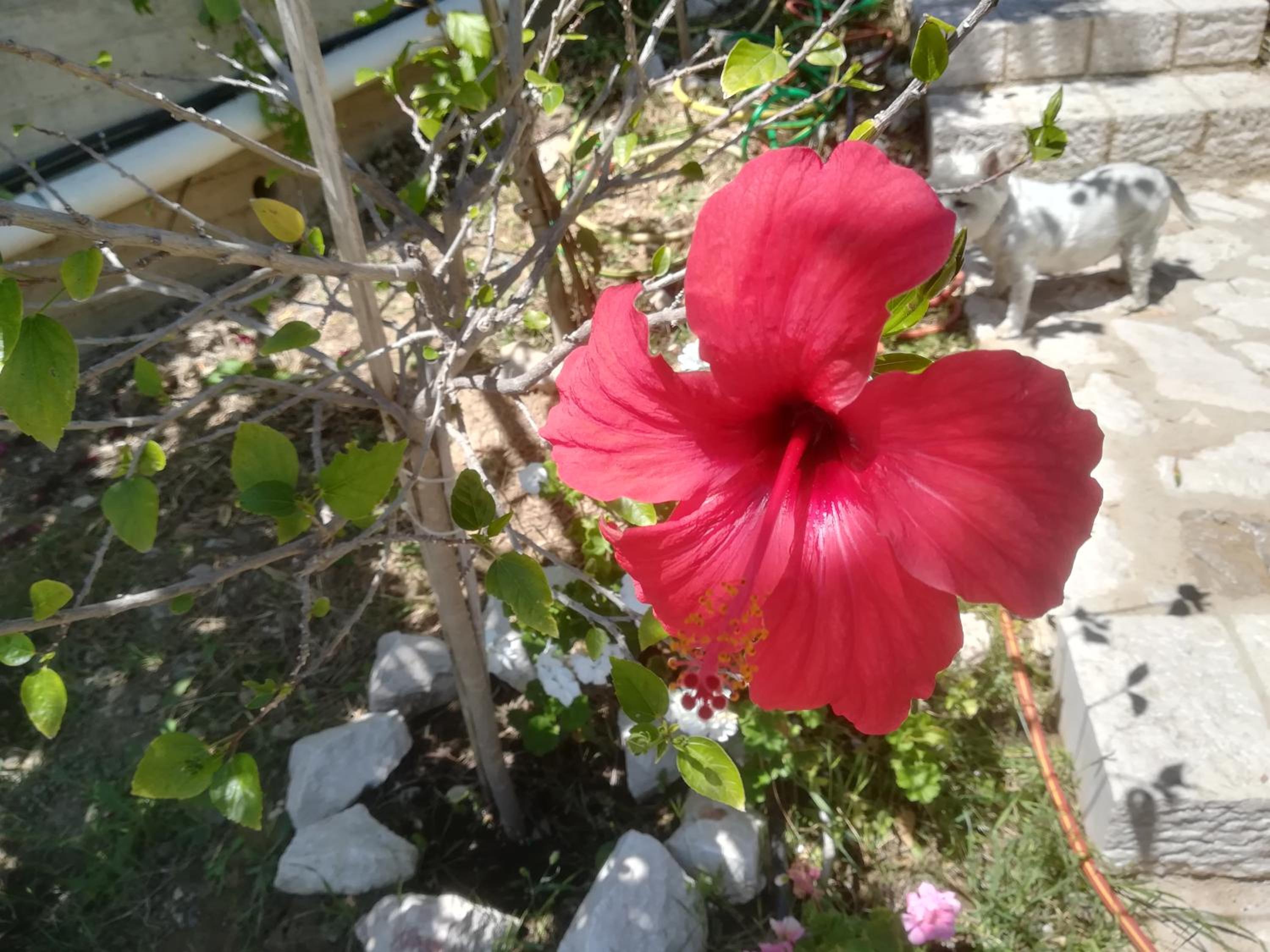 Photo 16