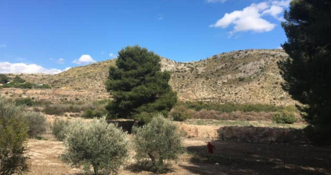 Casa Rural Molera