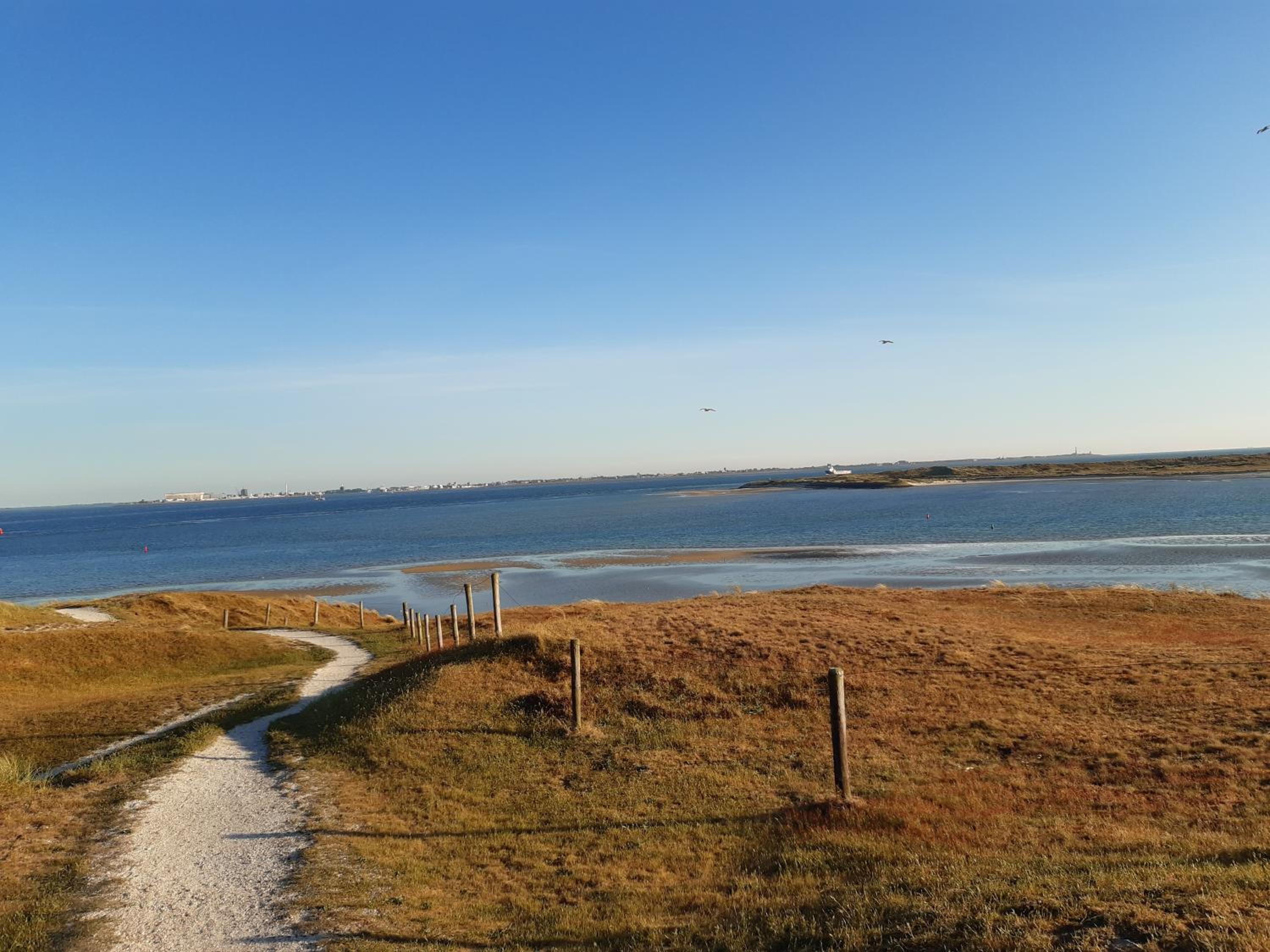 genieten texel 8 view 4