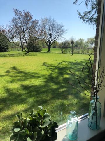B&B Borgersteeg view 3