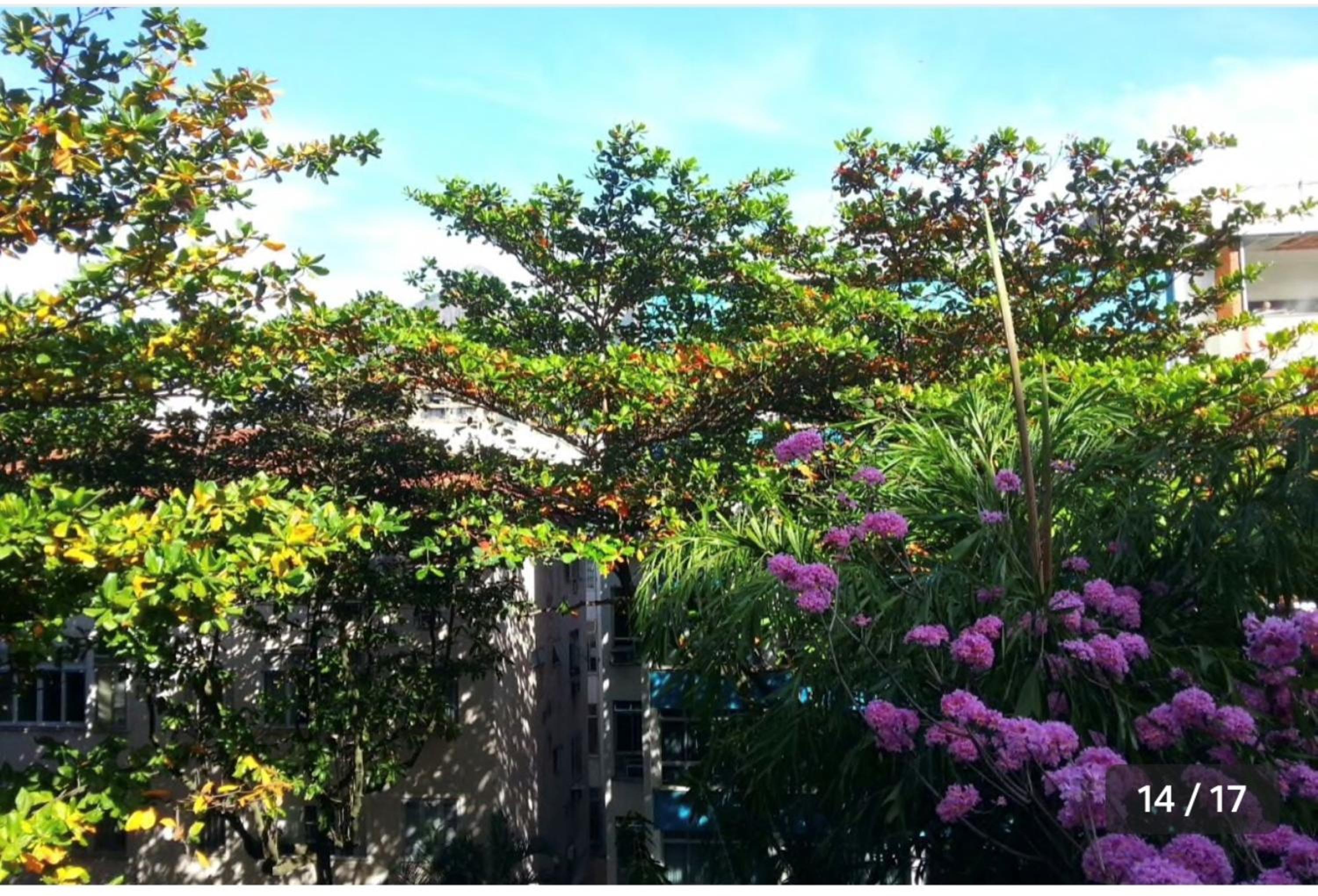 Beautiful Leblon view 4