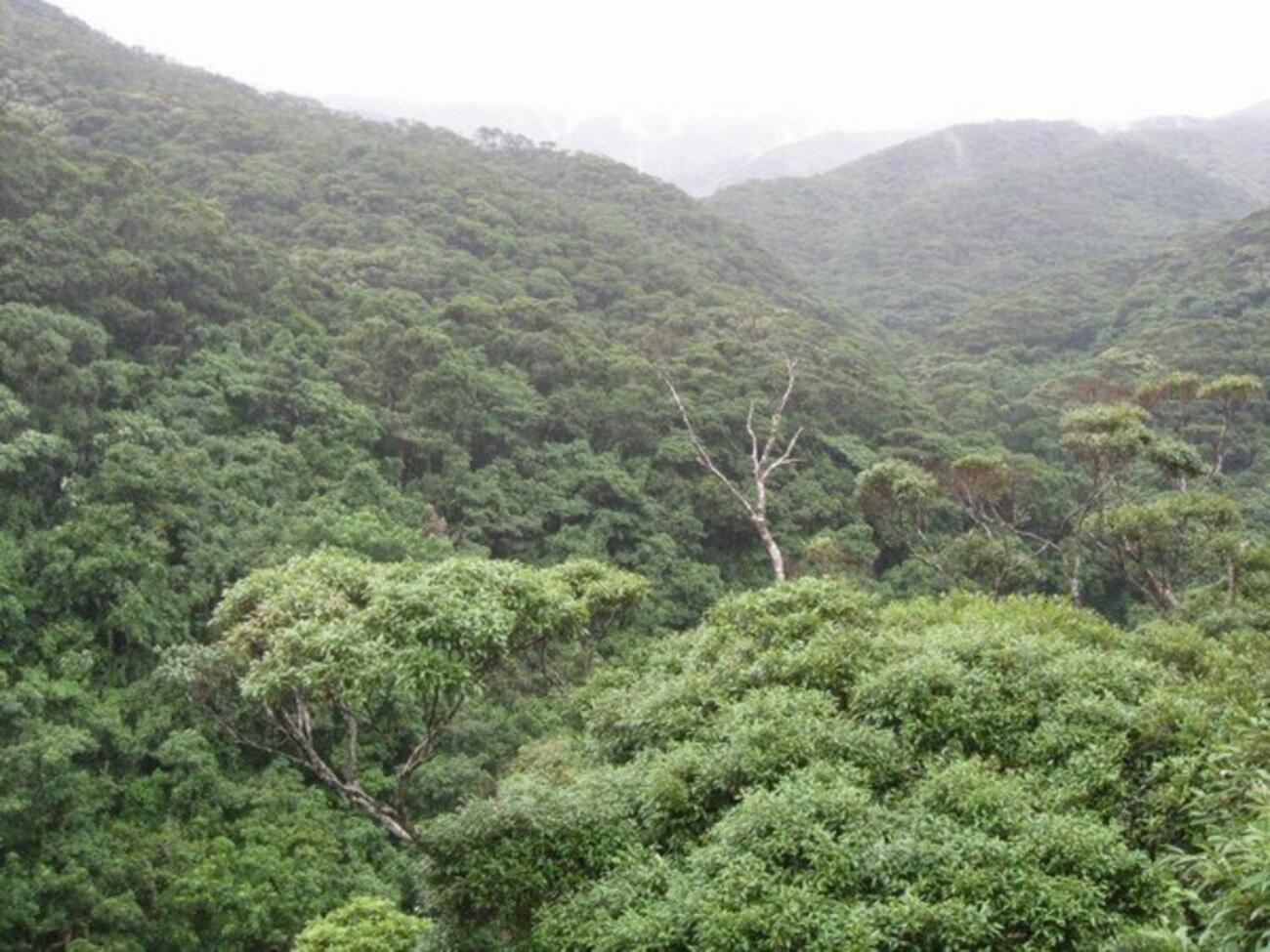 Photo 25