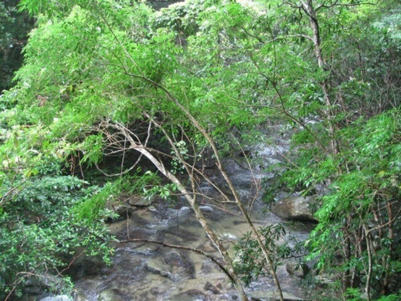 Photo 23