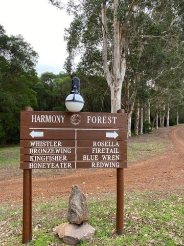 Harmony Forest Cottages & Lake side Lodge