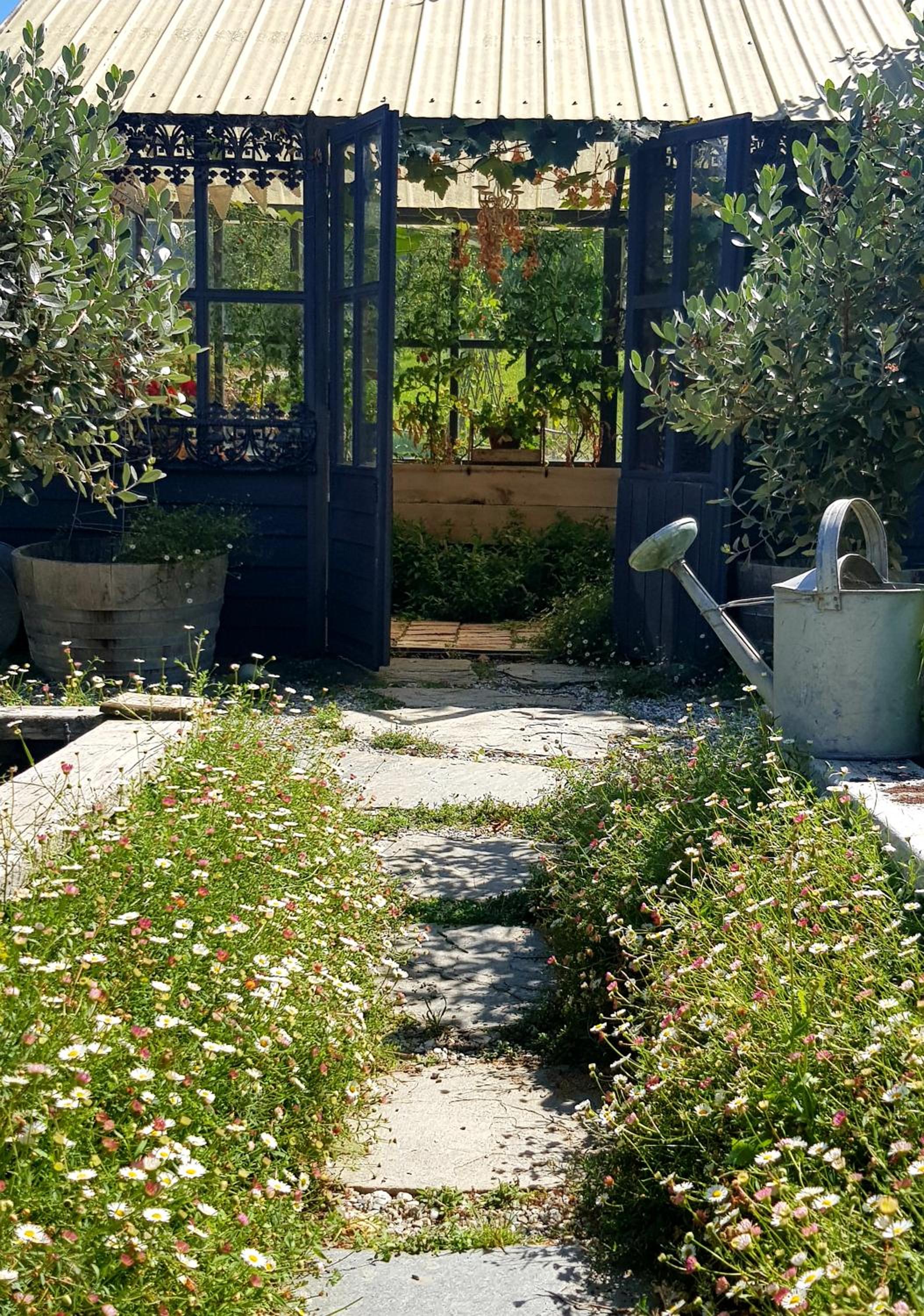 Photo 23