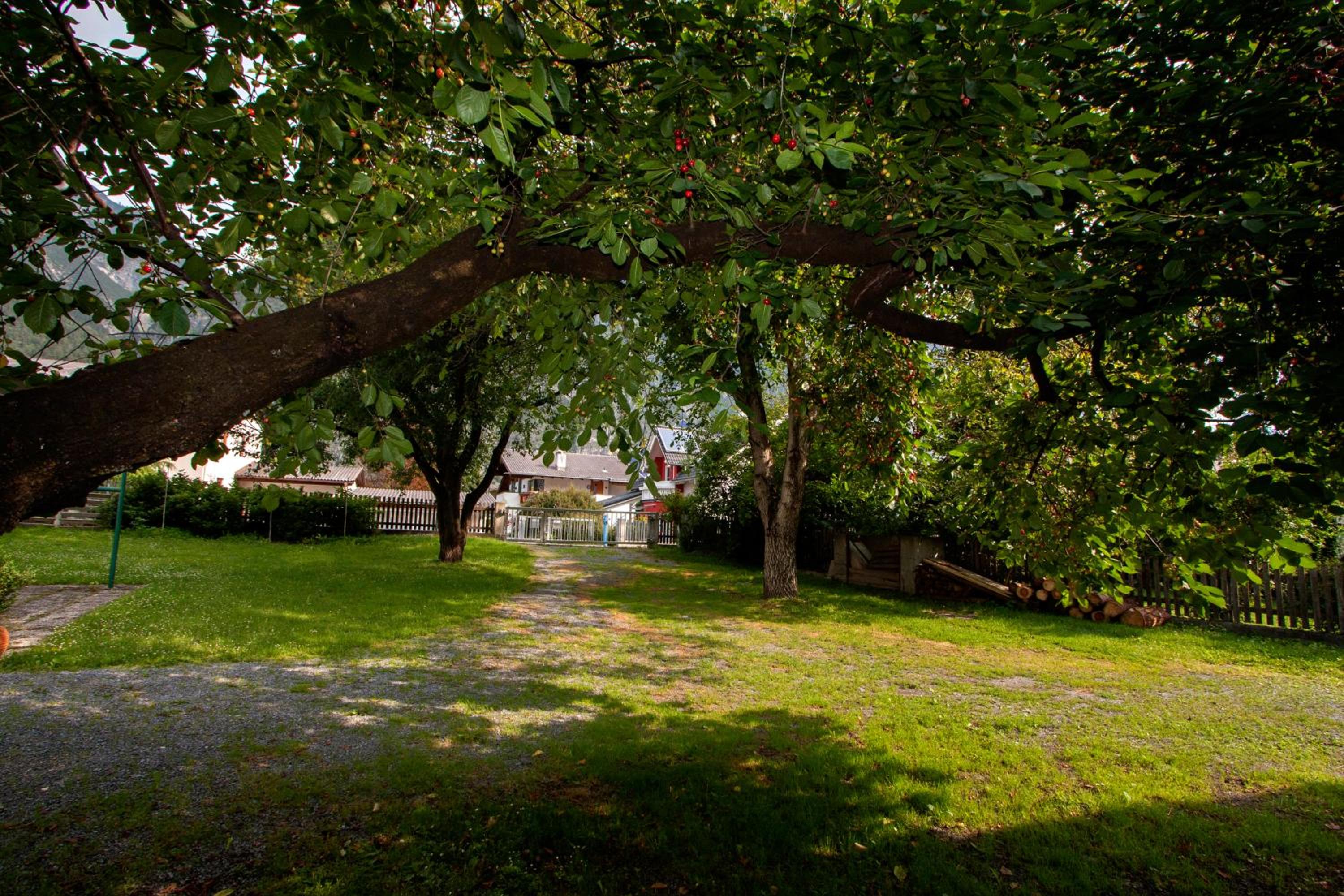 Photo 14