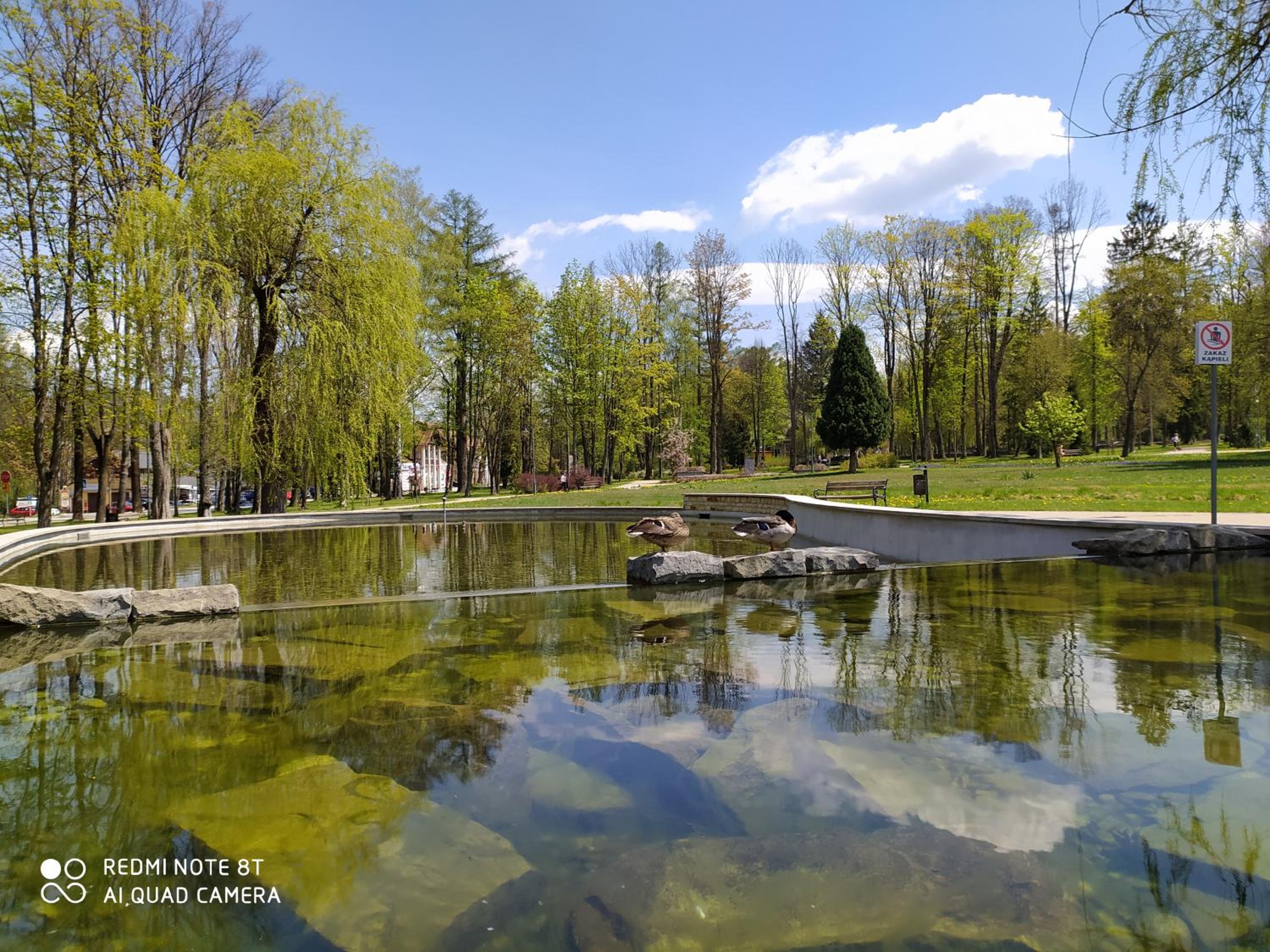 Parkowa Rezydencja Hubal view 5
