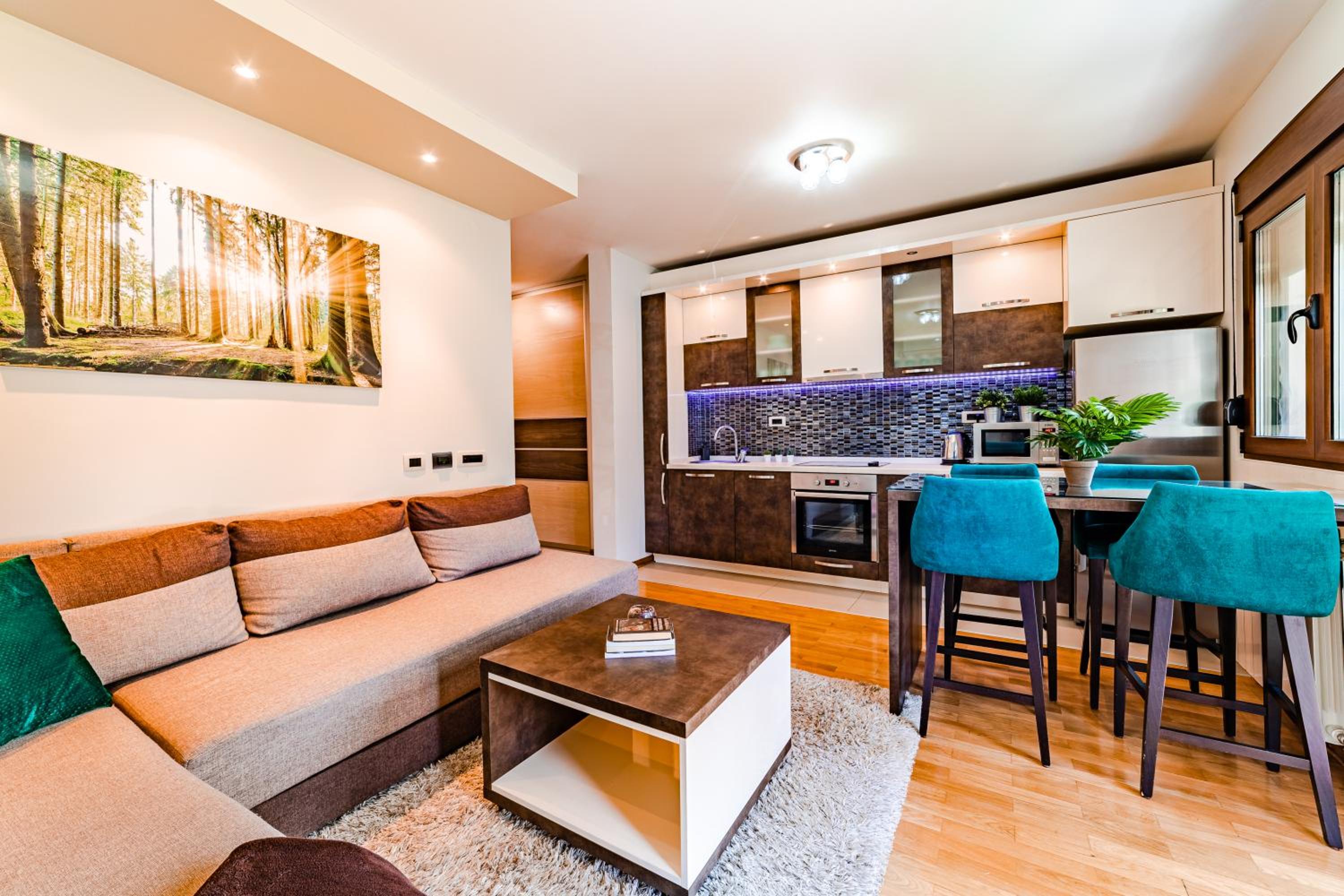 Apartment ERAK RELAX view 5