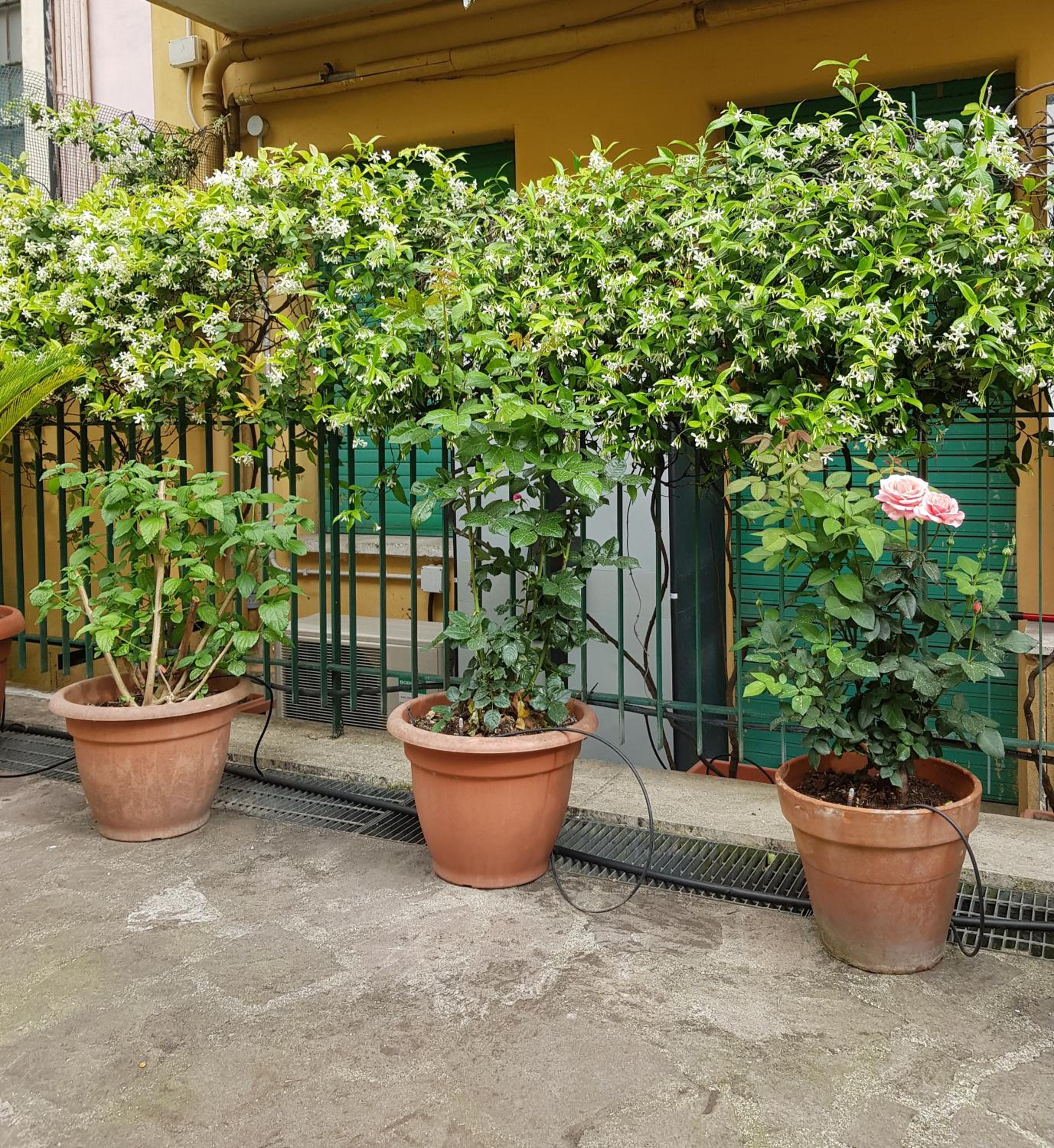 Jubilee 3 Luxury apartment in Rome Vatican