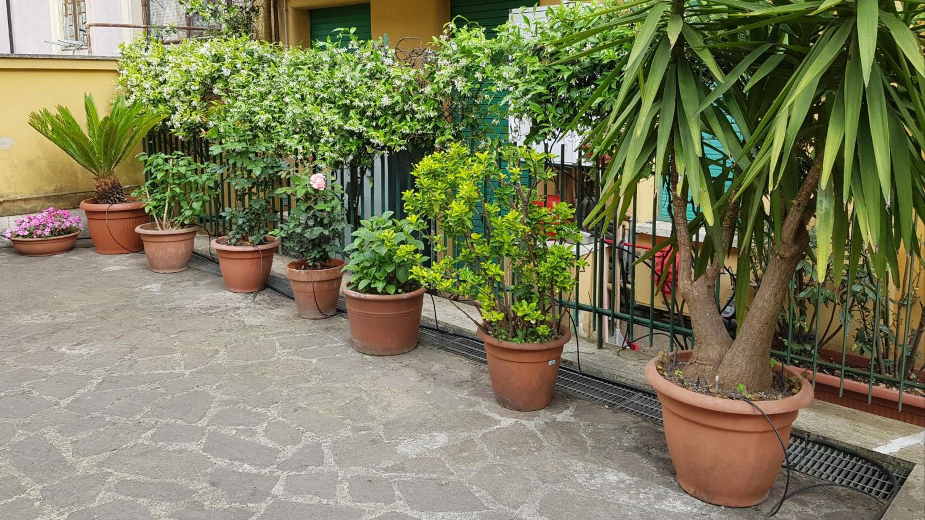 Jubilee 3 Luxury apartment in Rome Vatican