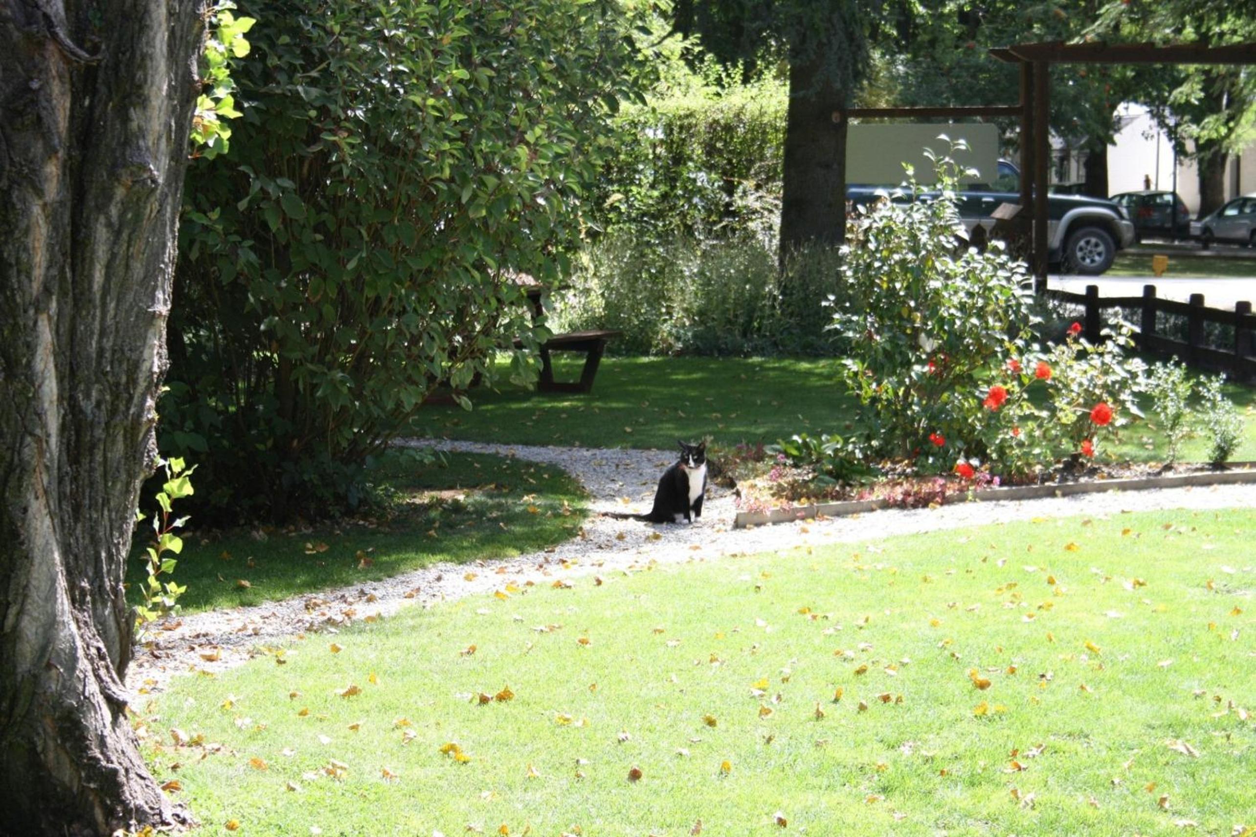 Shades of Arrowtown