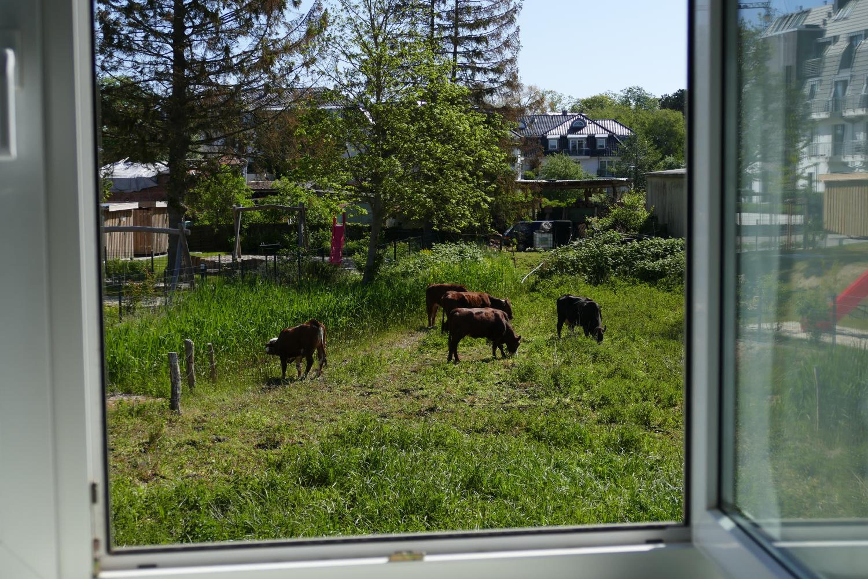 Landhaus Dreesen view 5