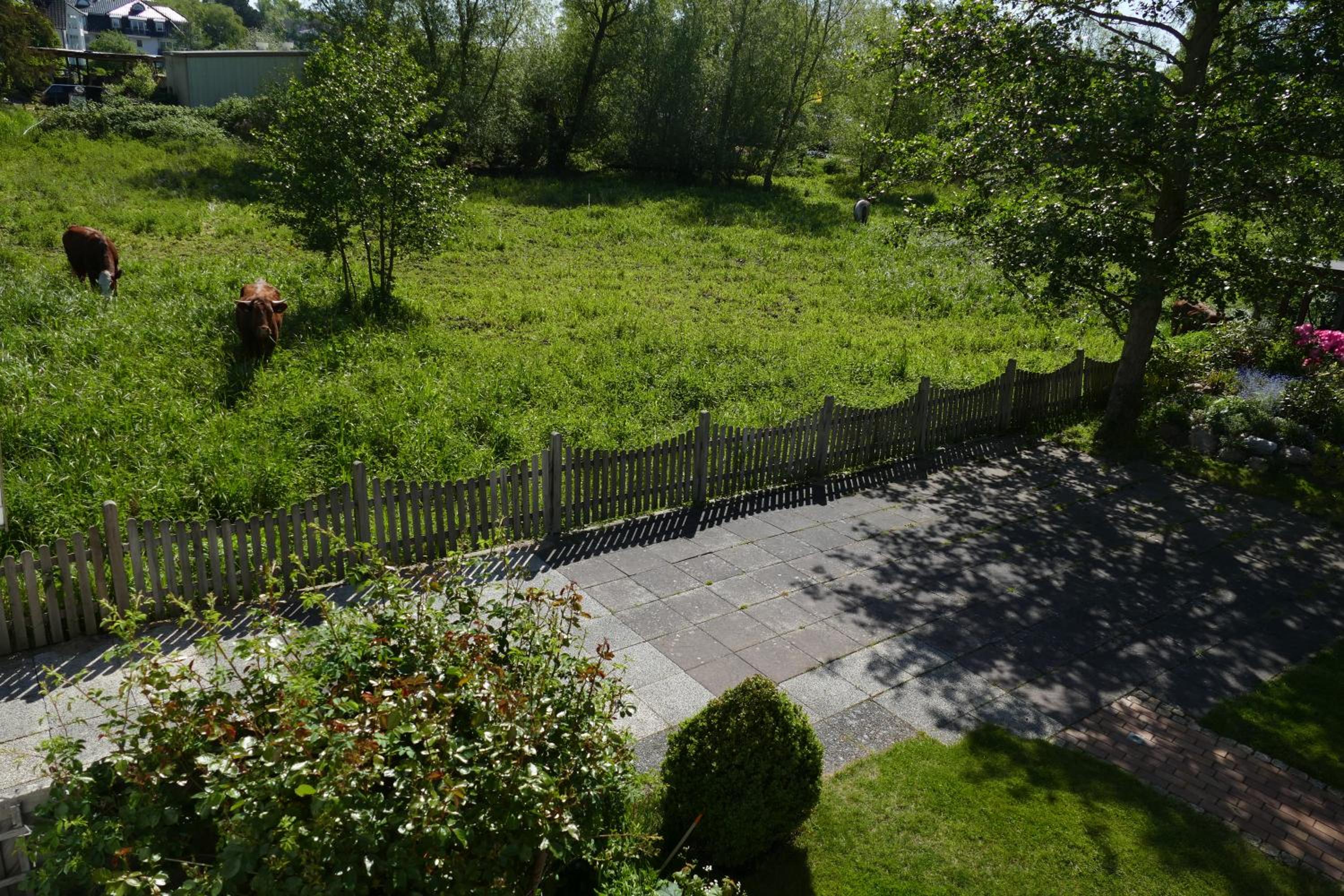 Landhaus Dreesen view 4