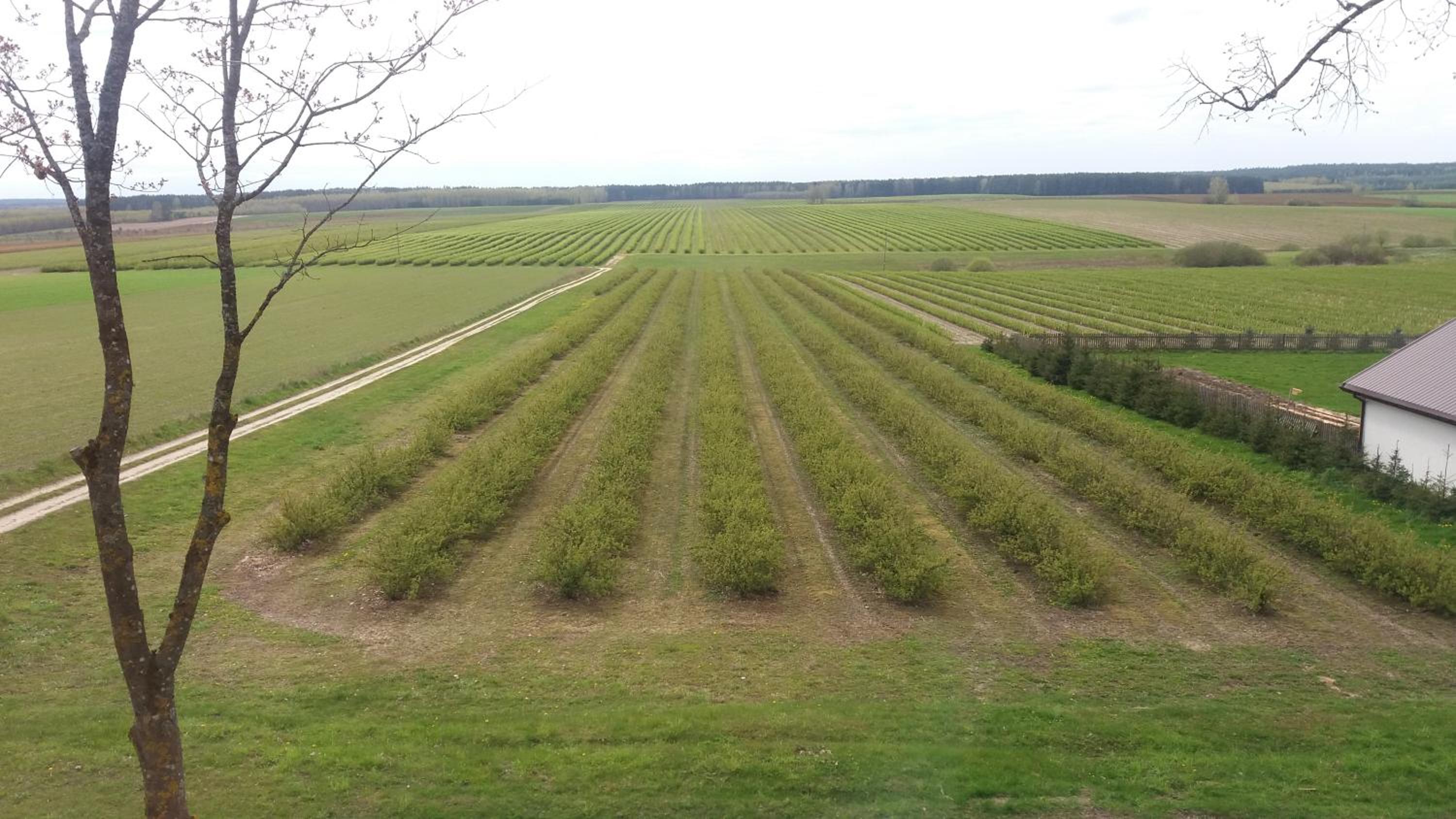 Zielony Zakątek view 5