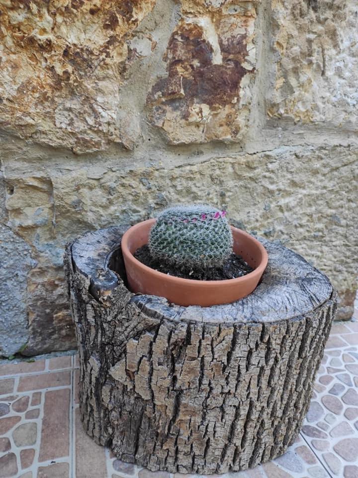 Apartamentos Rurales La Caviana