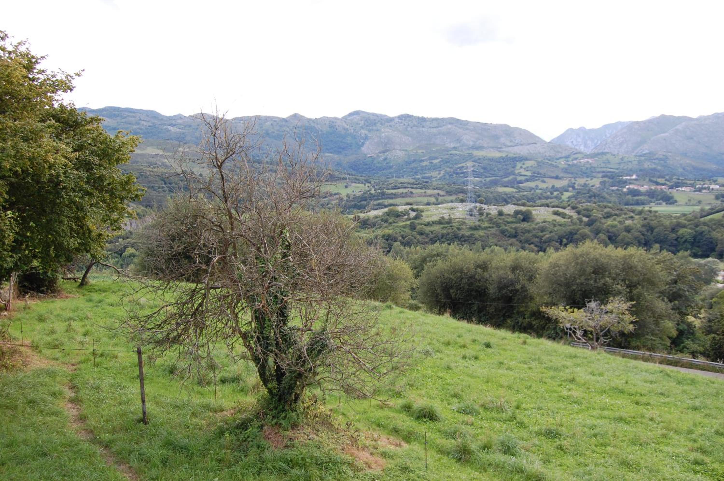 Gestiona2R - Narganes Mar y Montaña, ideal familias