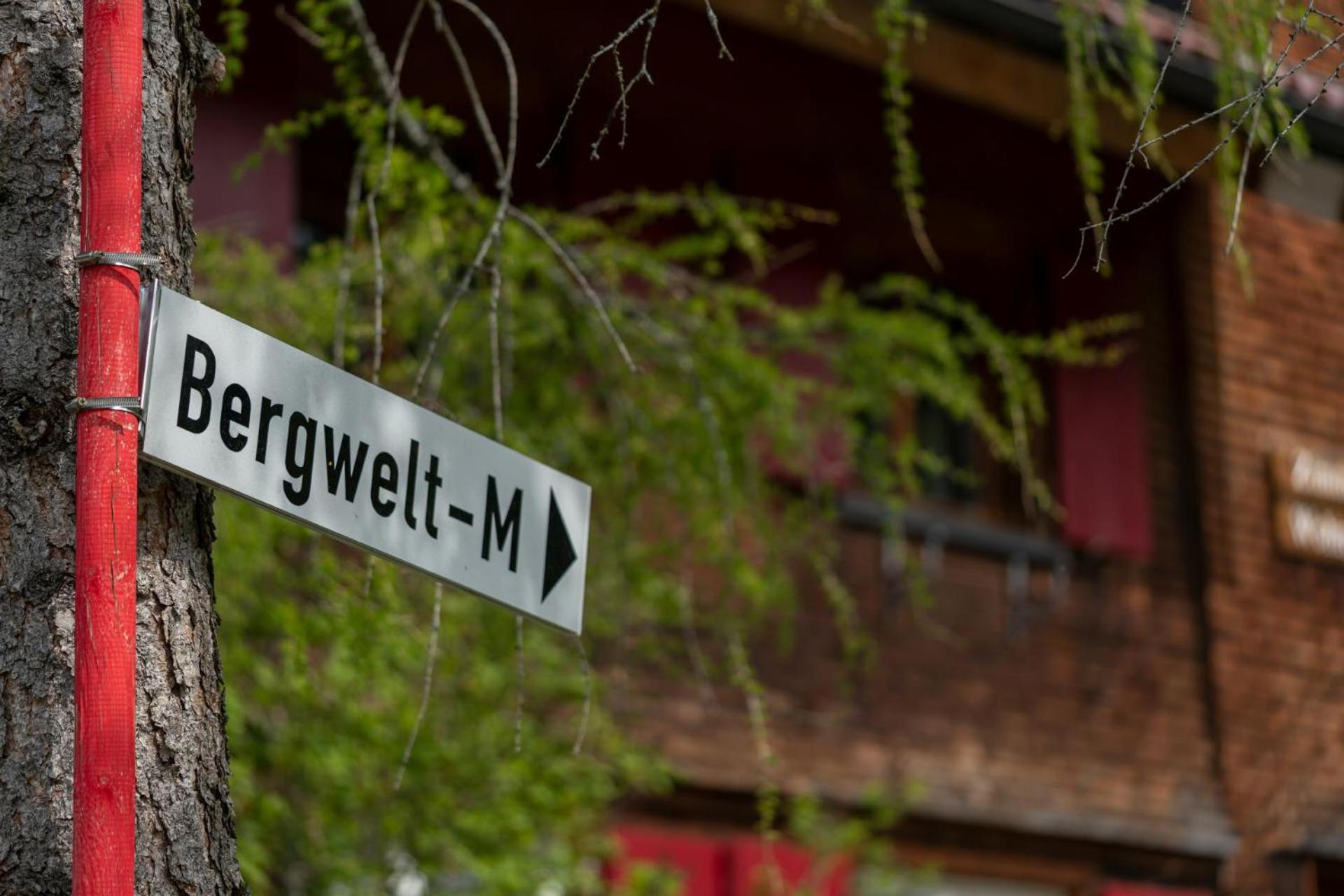 Bergwelt-M