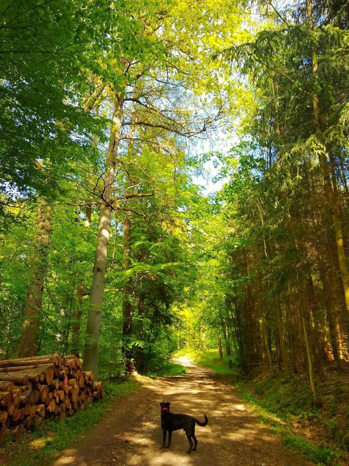 Haus Elpe Nähe Meschede Winterberg