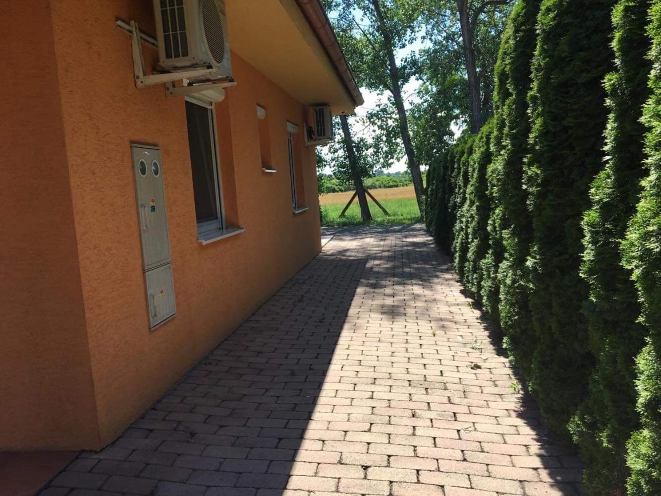 Photo 42