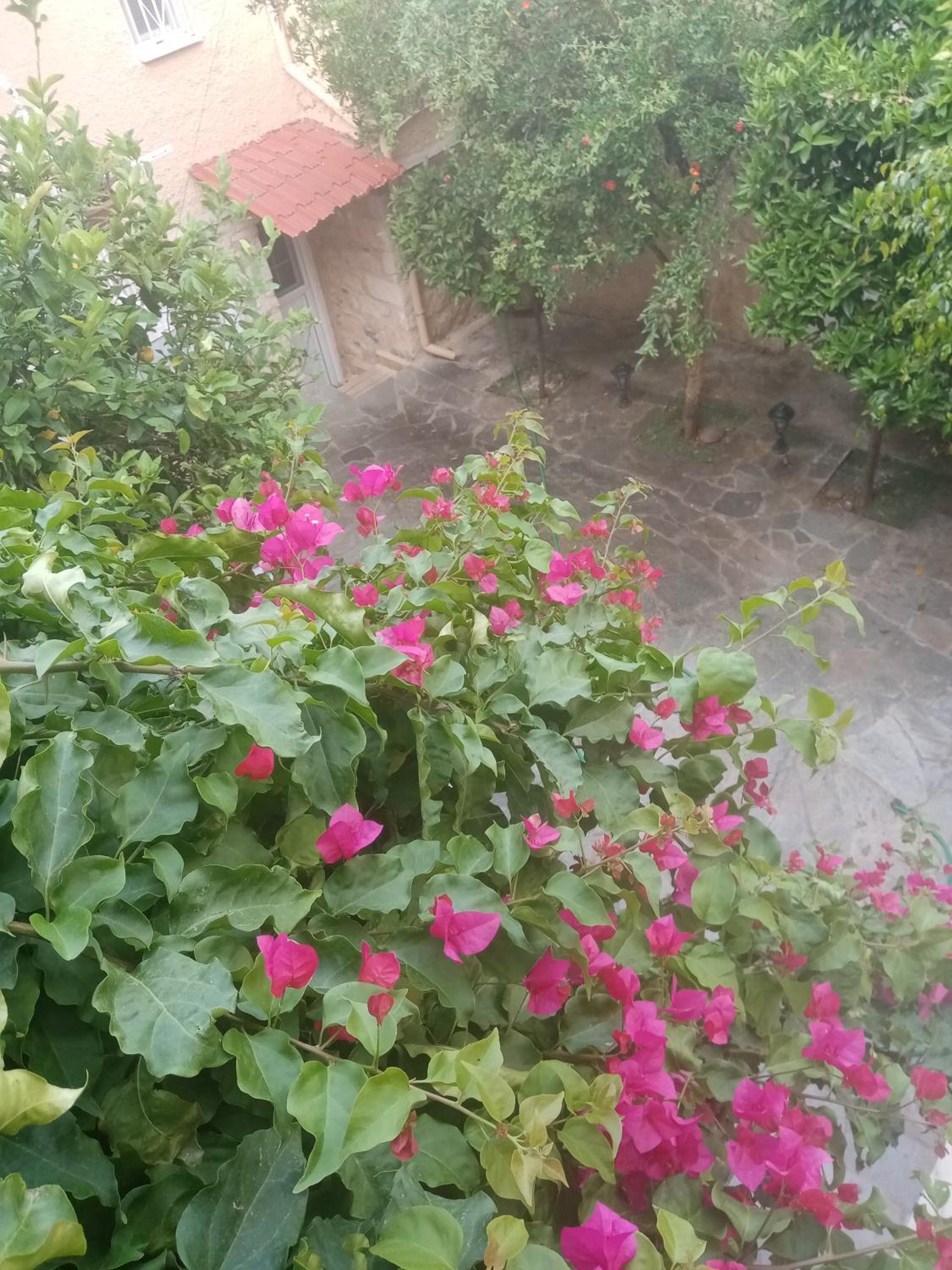 Photo 38